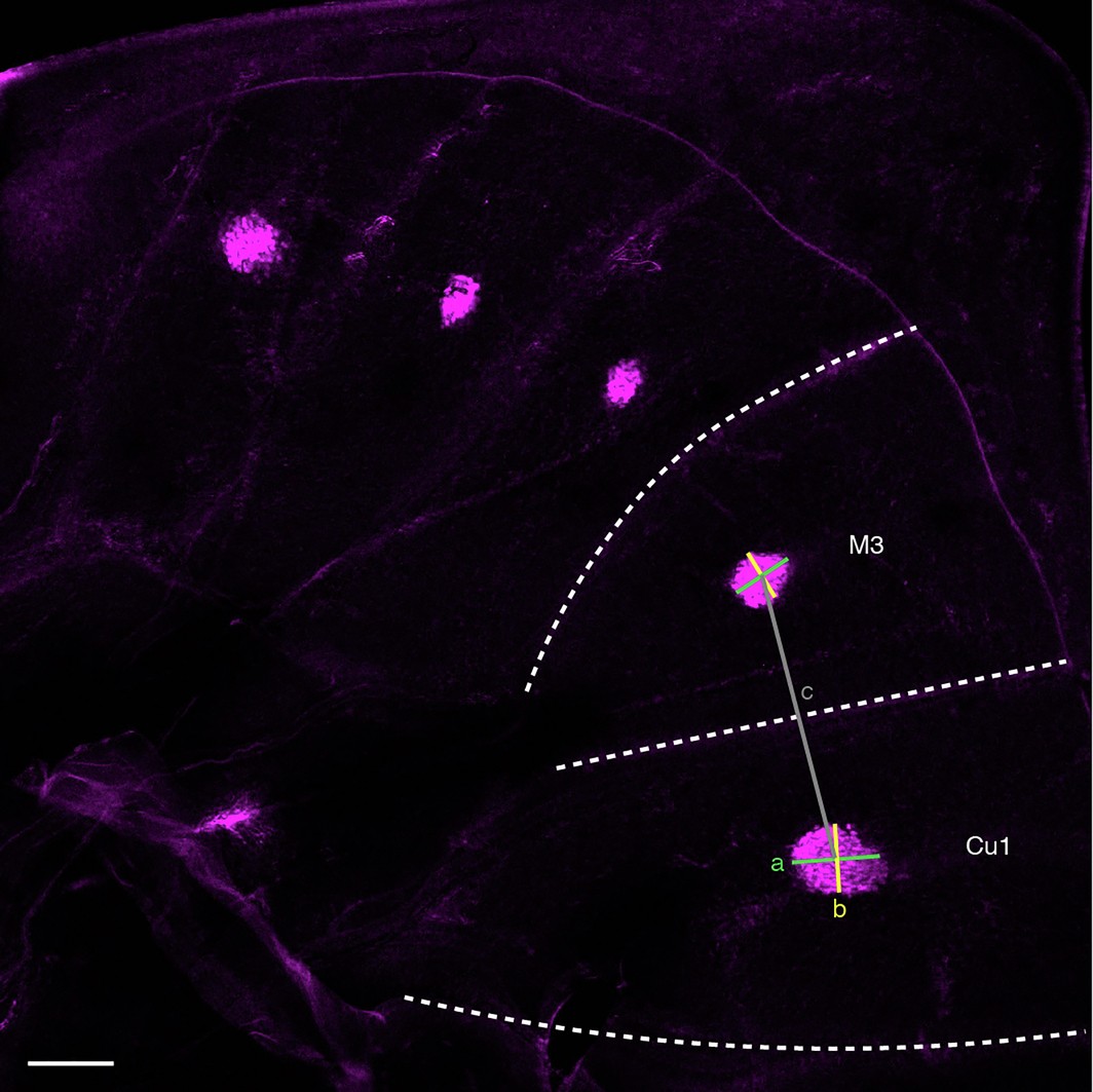 Extended Data Fig. 3