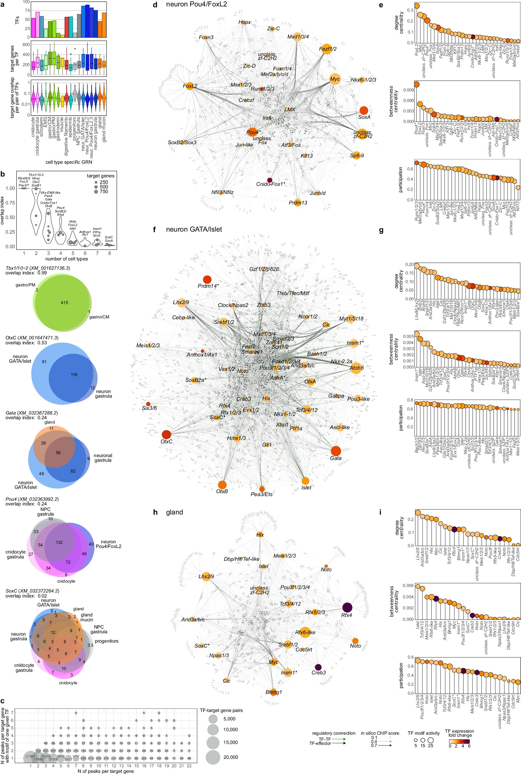 Extended Data Fig. 8: Cell type gene regulatory networks.
