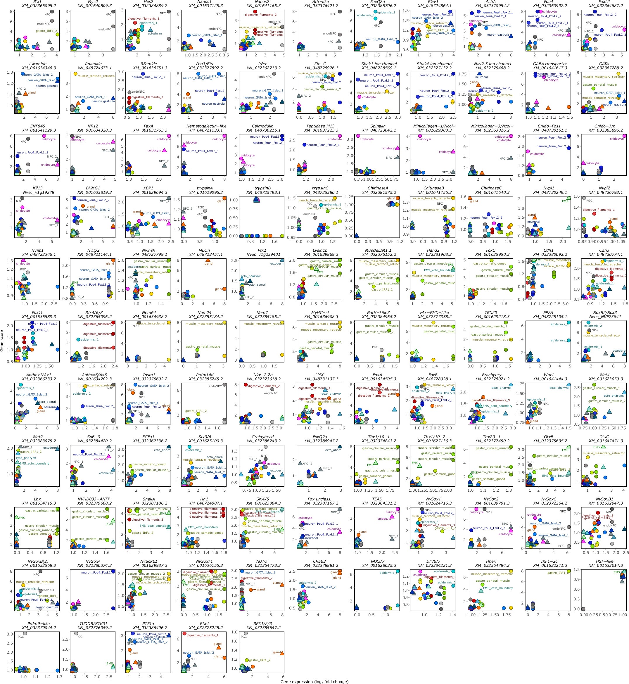 Extended Data Fig. 2: Cell type markers.