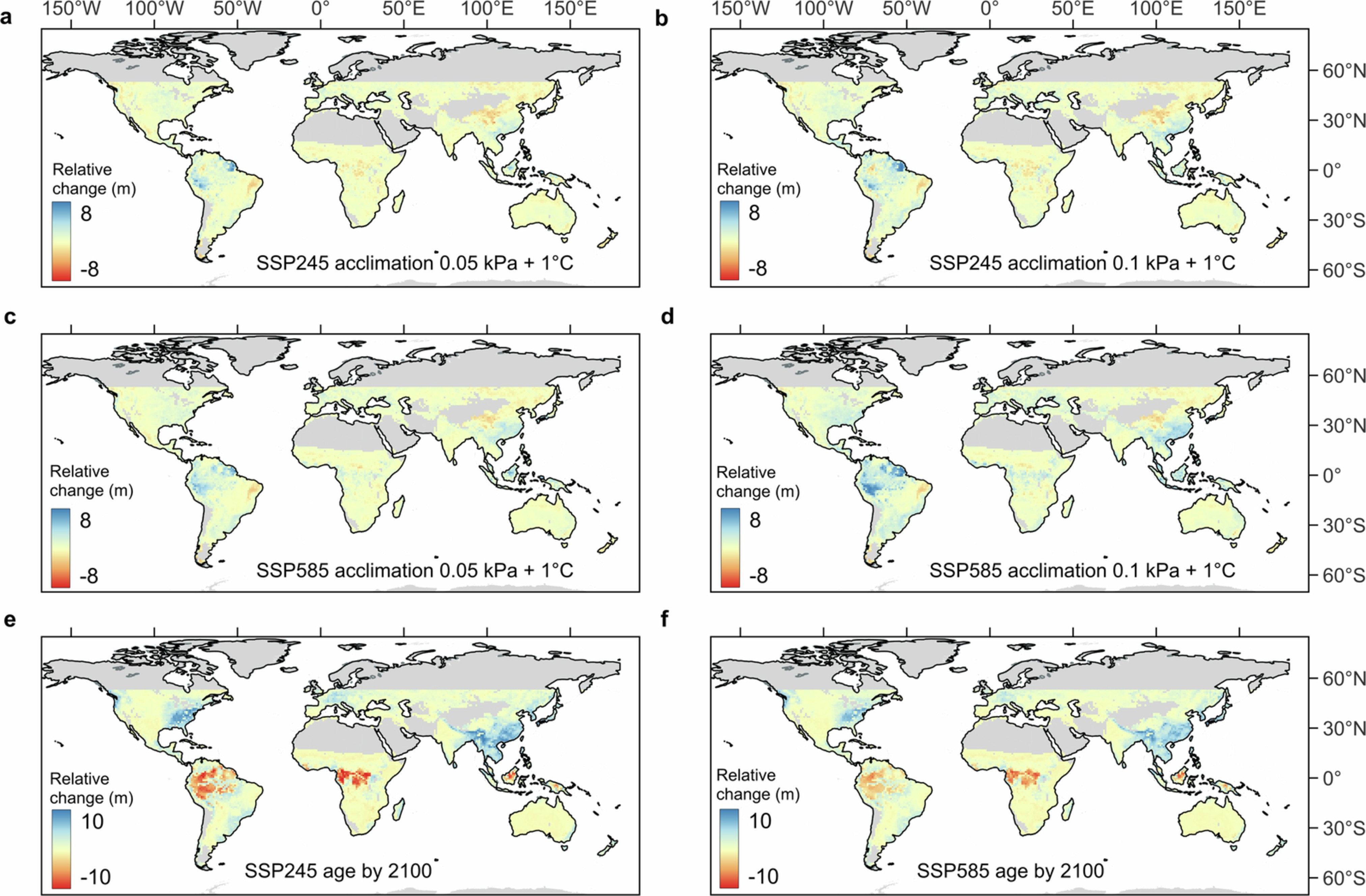 Extended Data Fig. 7: Predicted canopy height considering acclimation and stand age dynamics.