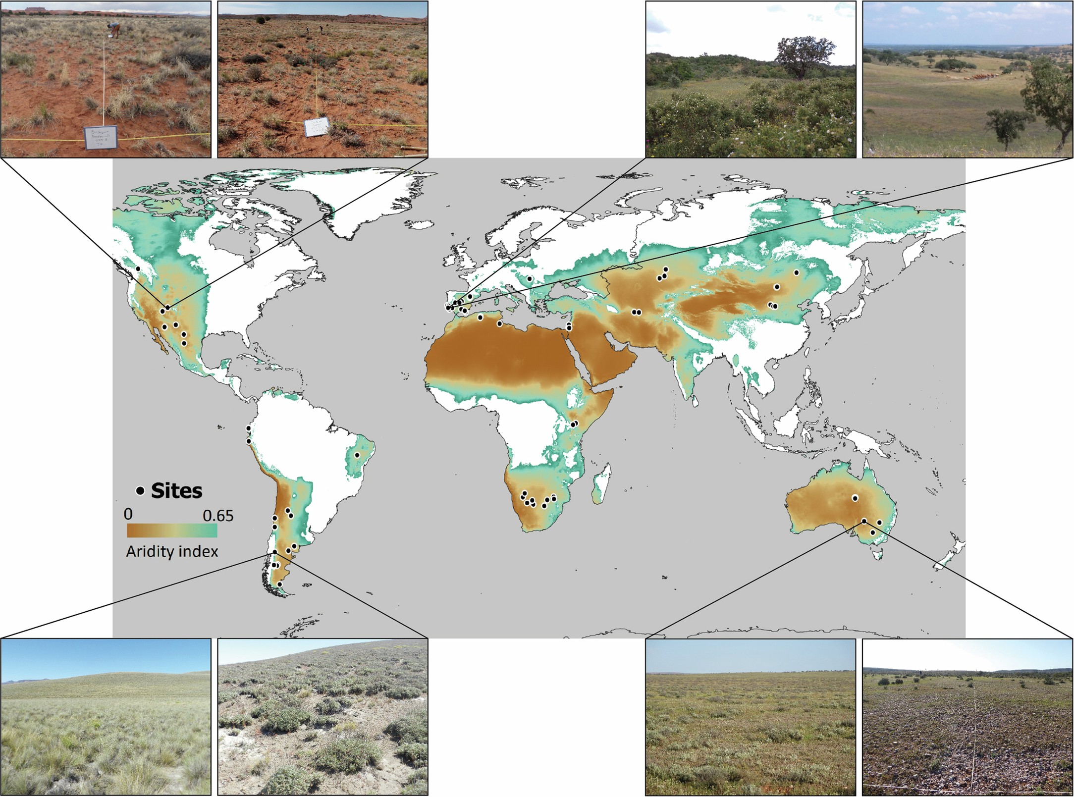 Extended Data Fig. 1: Location of the 73 experimental sites surveyed.