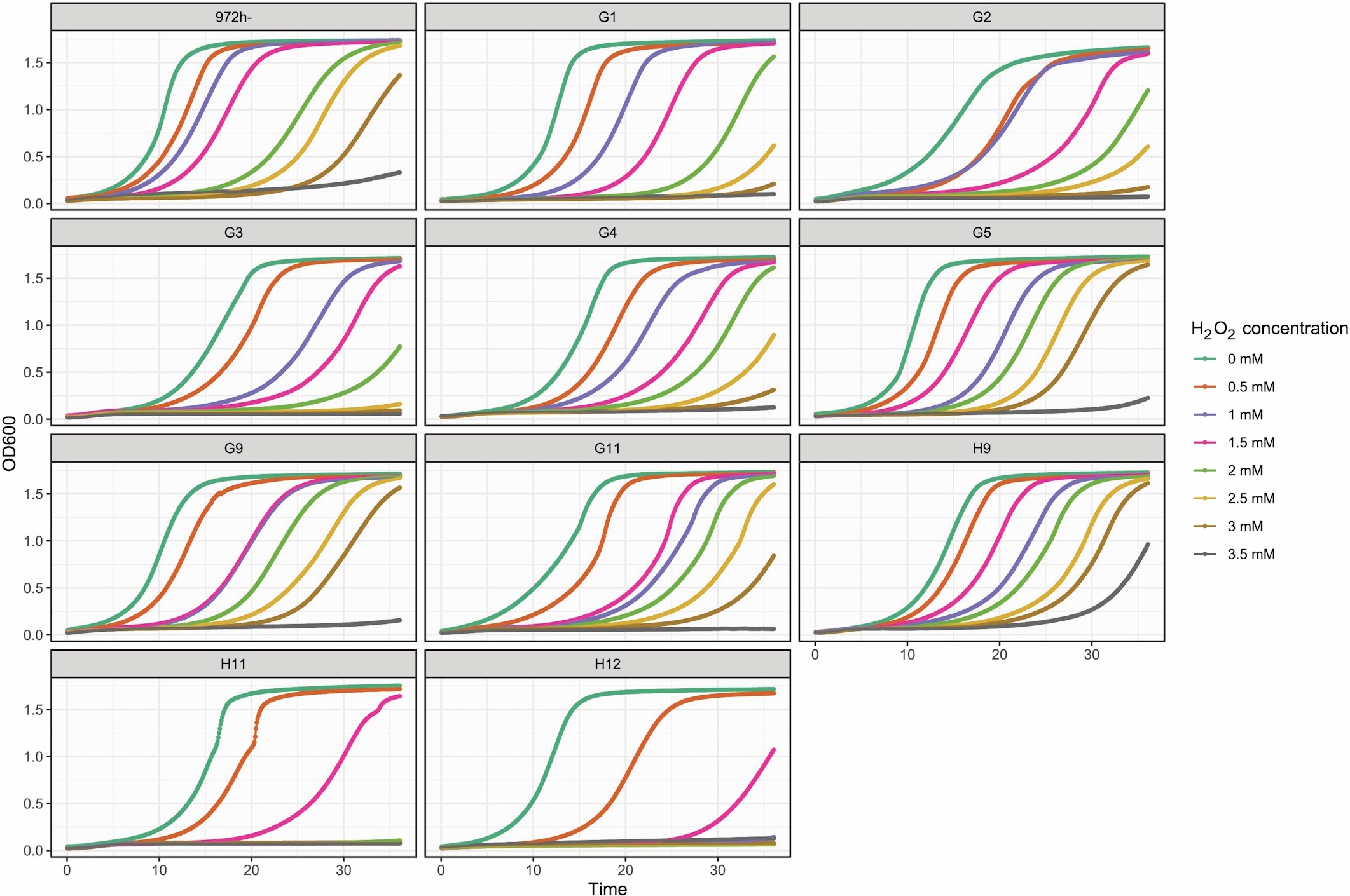 Extended Data Fig. 6: Growth curves of evolved populations at different hydrogen peroxide concentrations.