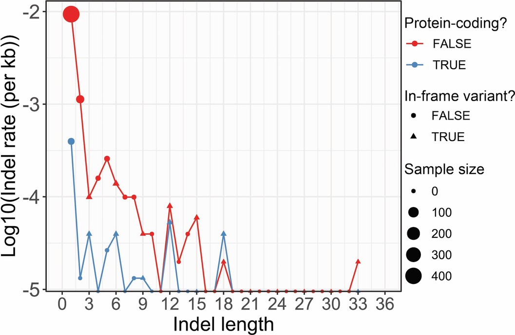 Extended Data Fig. 3: Indel rate for coding vs non-coding indels and in-frame vs frameshift indels.