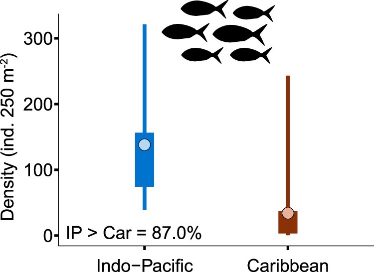 Extended Data Fig. 1: Between-realm comparison of planktivorous fishes.