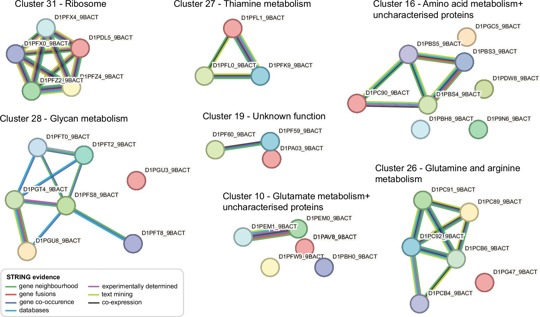 Extended Data Fig. 8: StringDB networks of S. copri clusters.