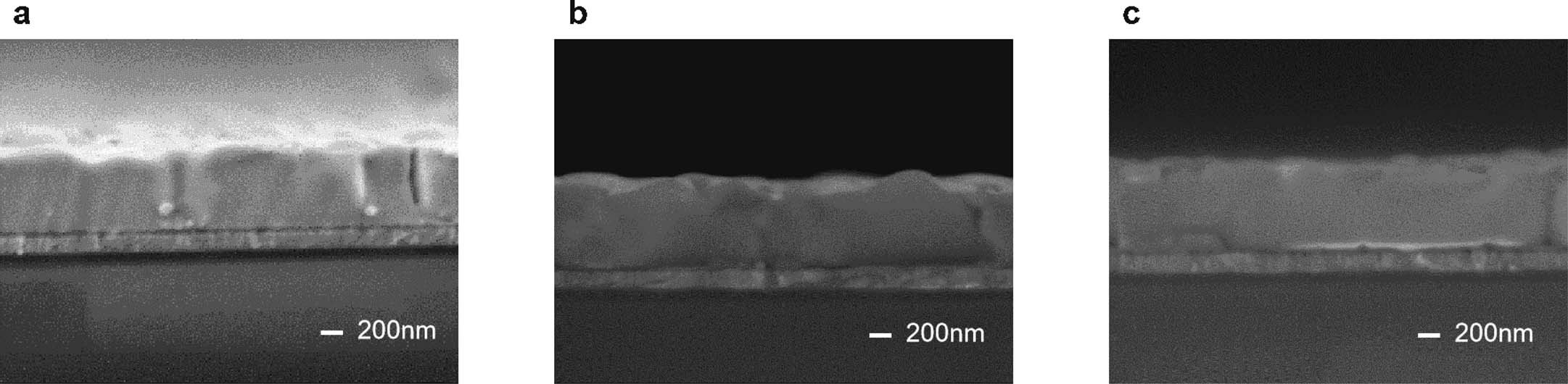 Extended Data Fig. 1: Characterization of perovskite cross-section SEM.