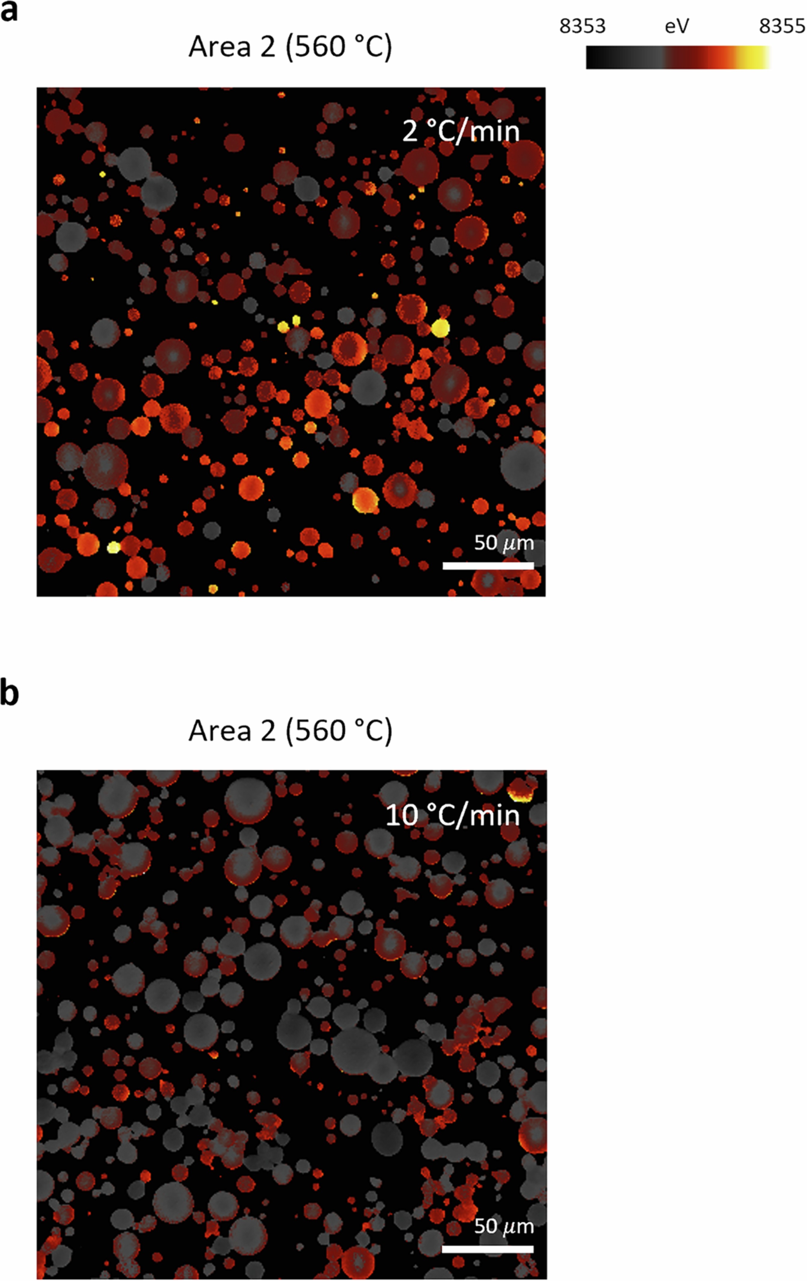 Extended Data Fig. 2: Reaction heterogeneity across multiple particles at 560 °C.