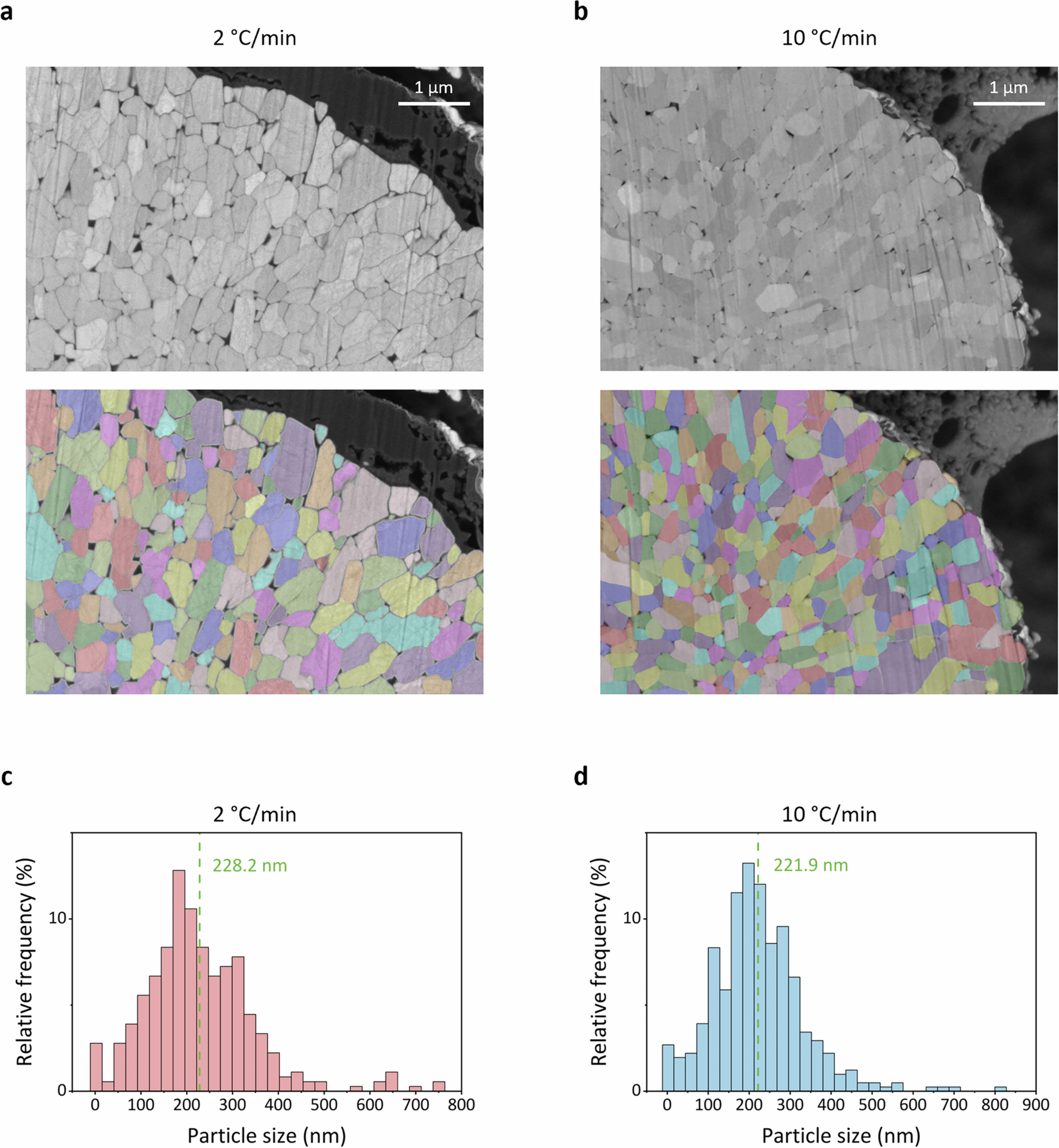 Extended Data Fig. 3: Primary-particle morphology and size comparison in the pristine state.