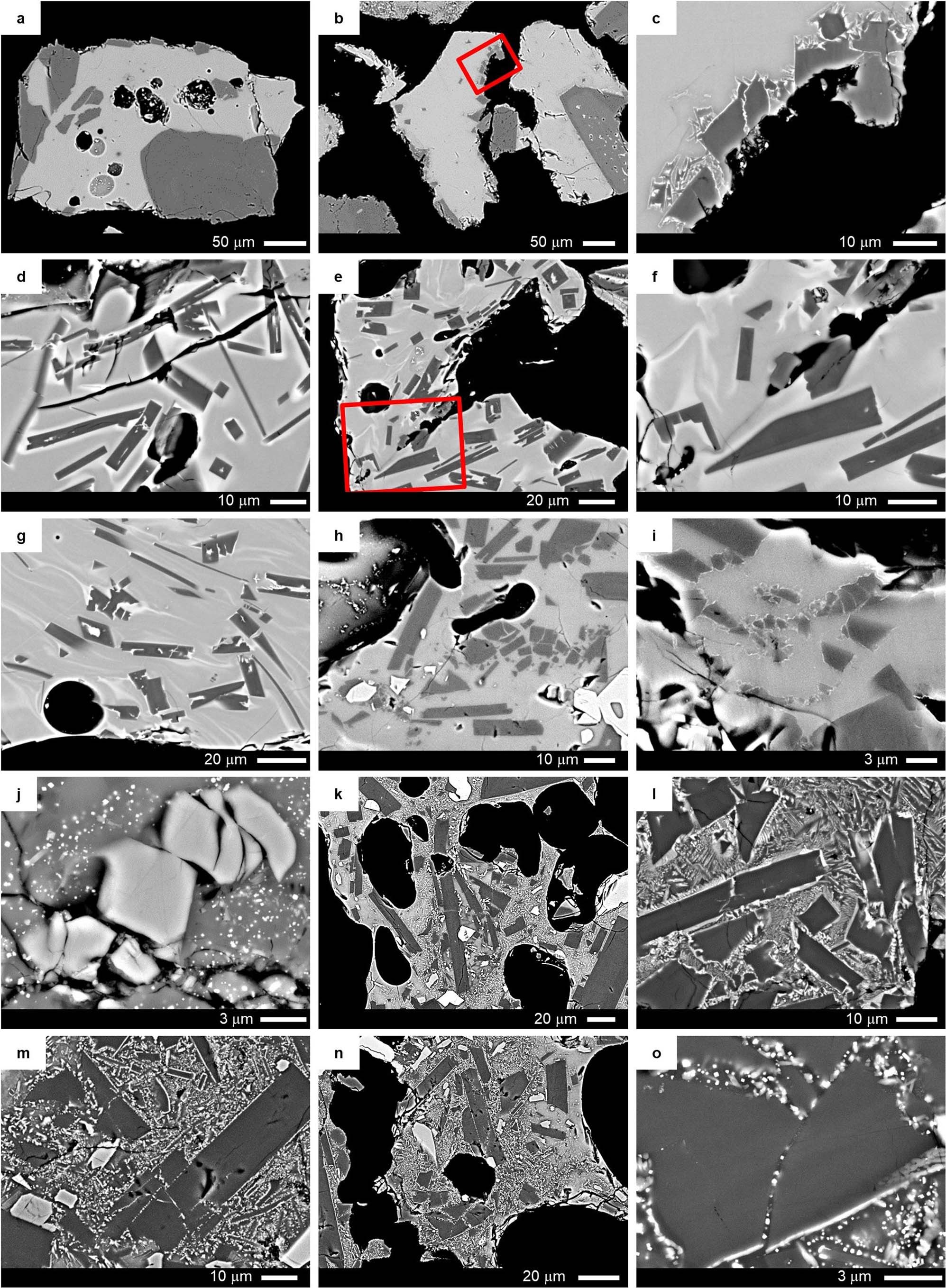 Extended Data Fig. 2