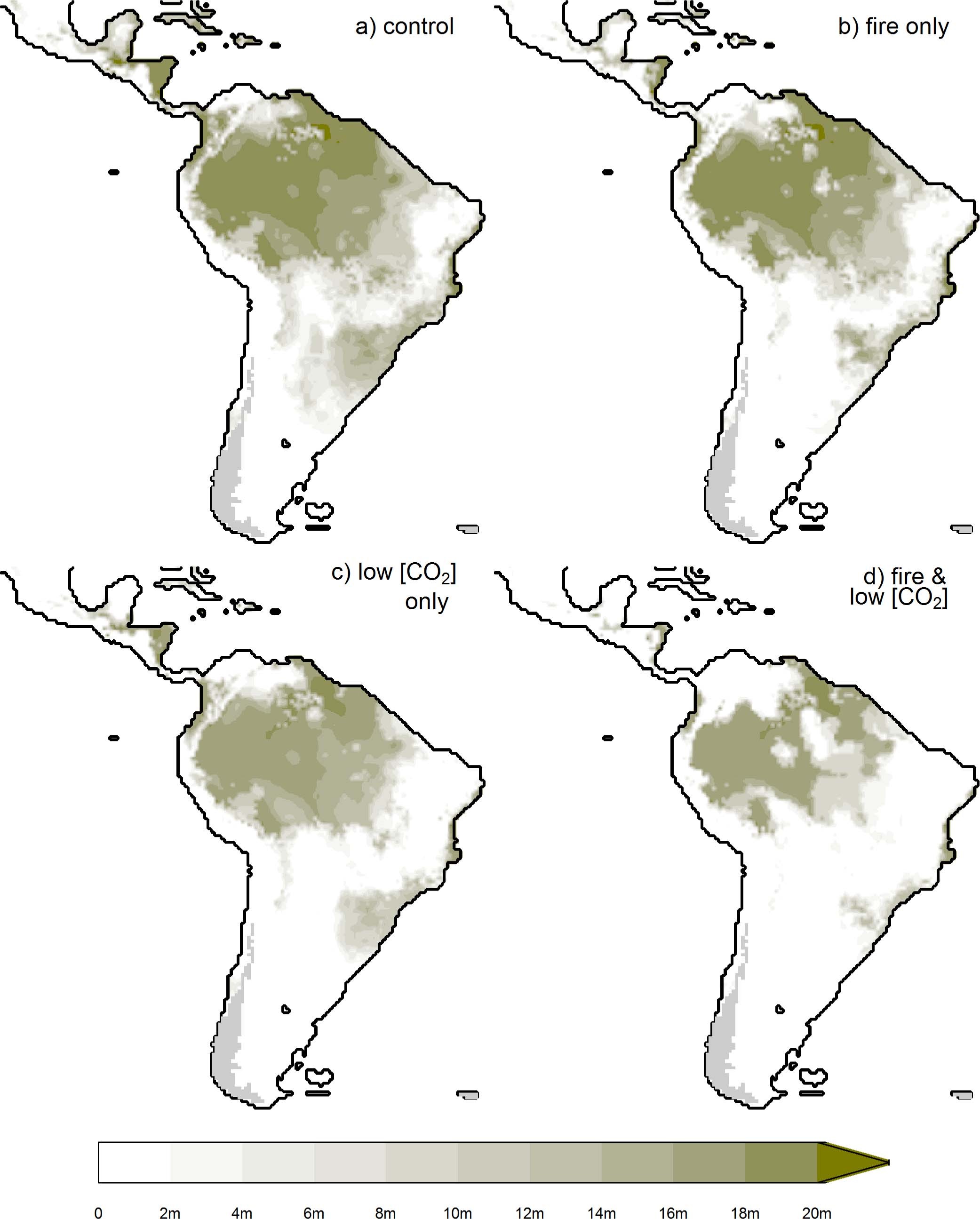 Extended Data Fig. 4: Canopy height of ensemble-driven vegetation reconstruction for LGM Neotropics.