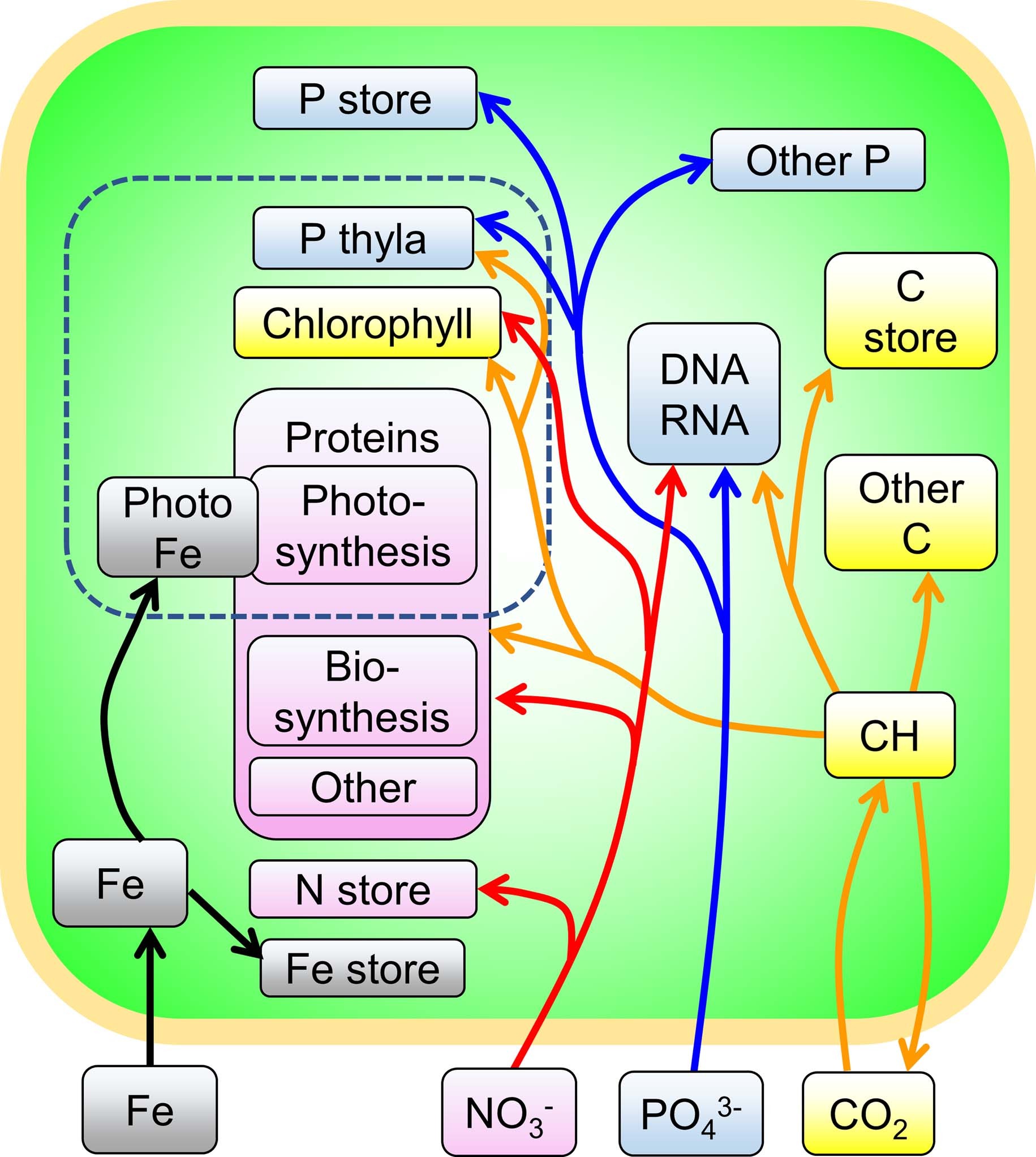 Extended Data Fig. 1