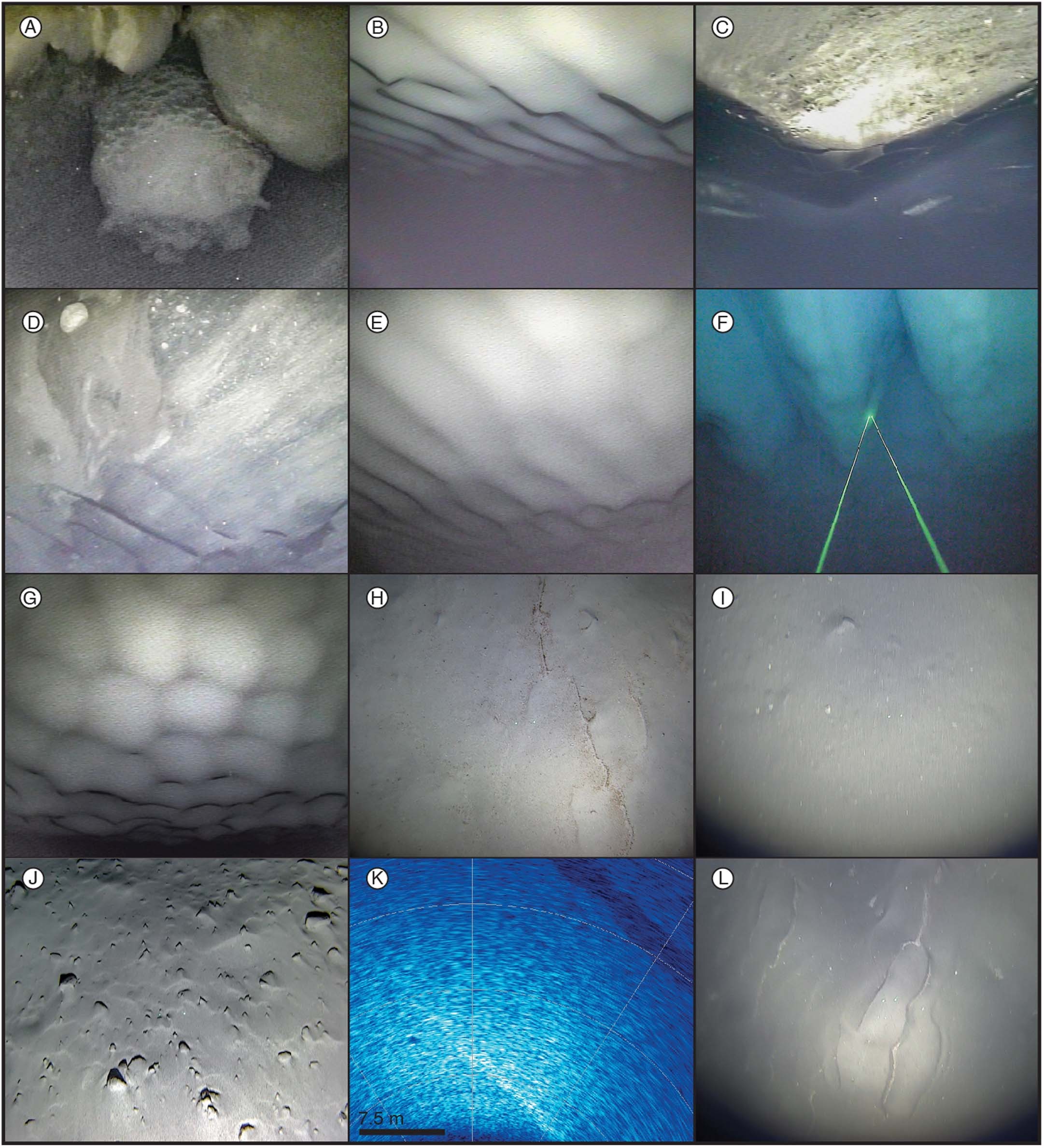 Extended Data Fig. 4