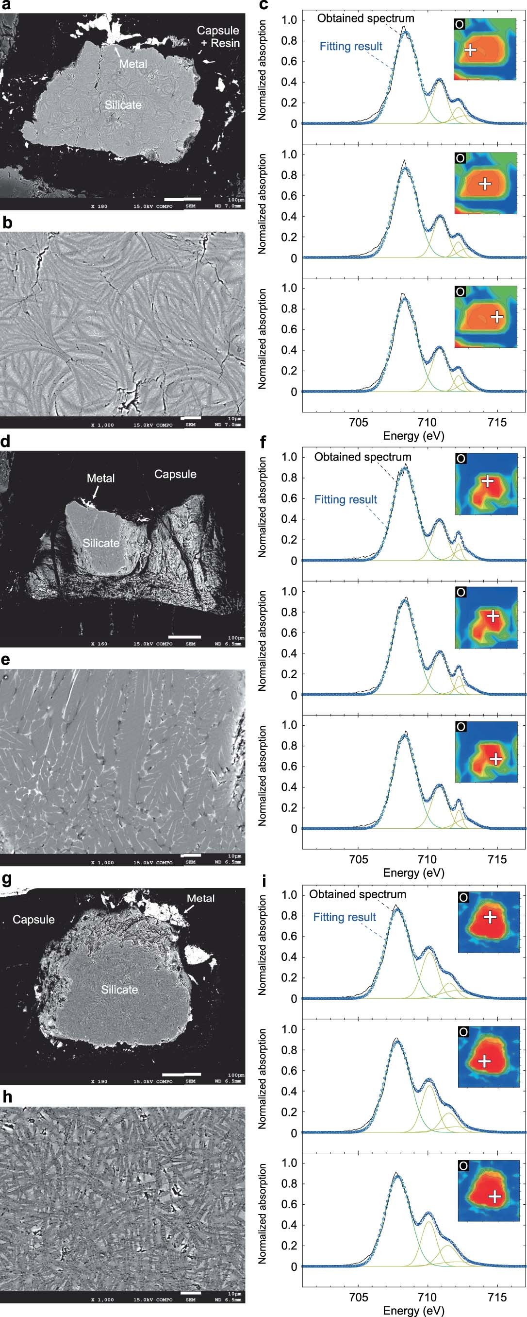 Extended Data Fig. 3