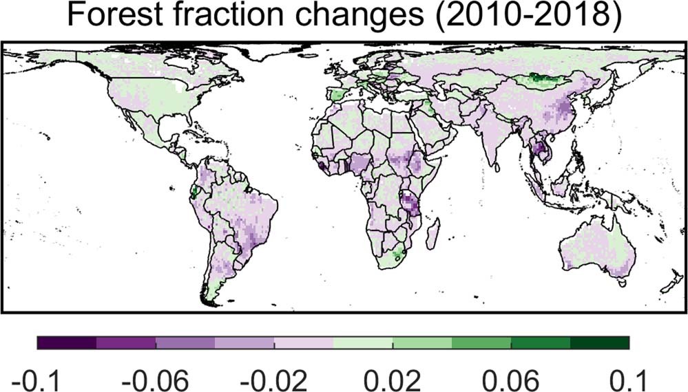 Extended Data Fig. 3: Changes in forest fraction from 2010 to 2018 from the TRENDY model ensembles.
