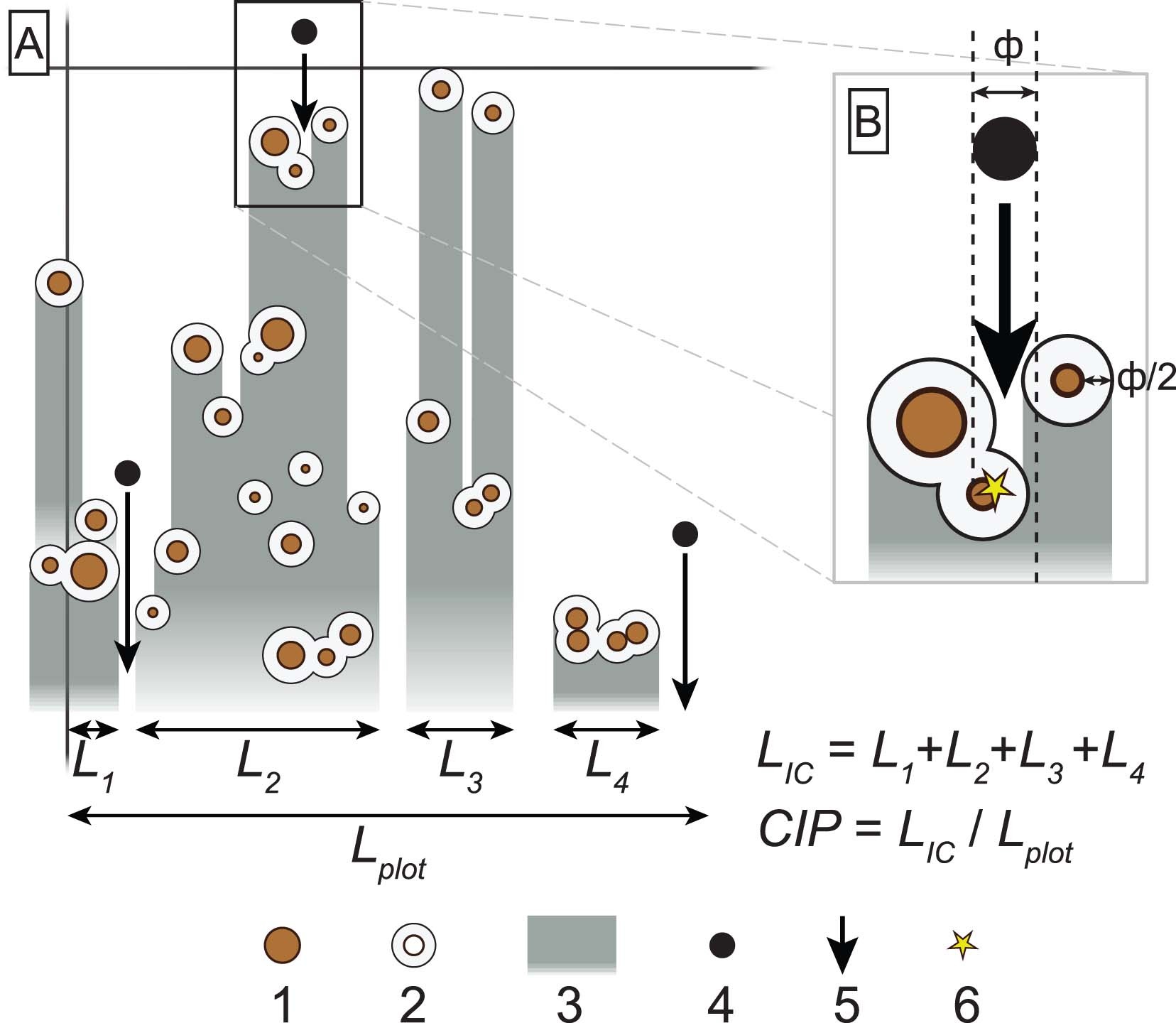 Extended Data Fig. 2: Definition and calculation of conditional probability of a rock impacting a tree on a slope.