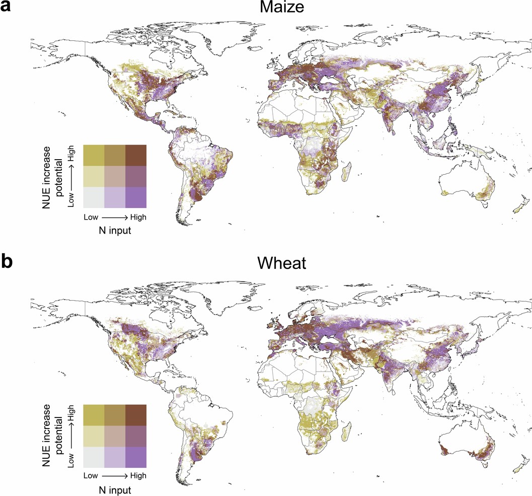 Extended Data Fig. 7: Spatial patterns of hotspots for soil Nr loss mitigation by enhanced-efficiency N fertilizers (EEFs) substitution.