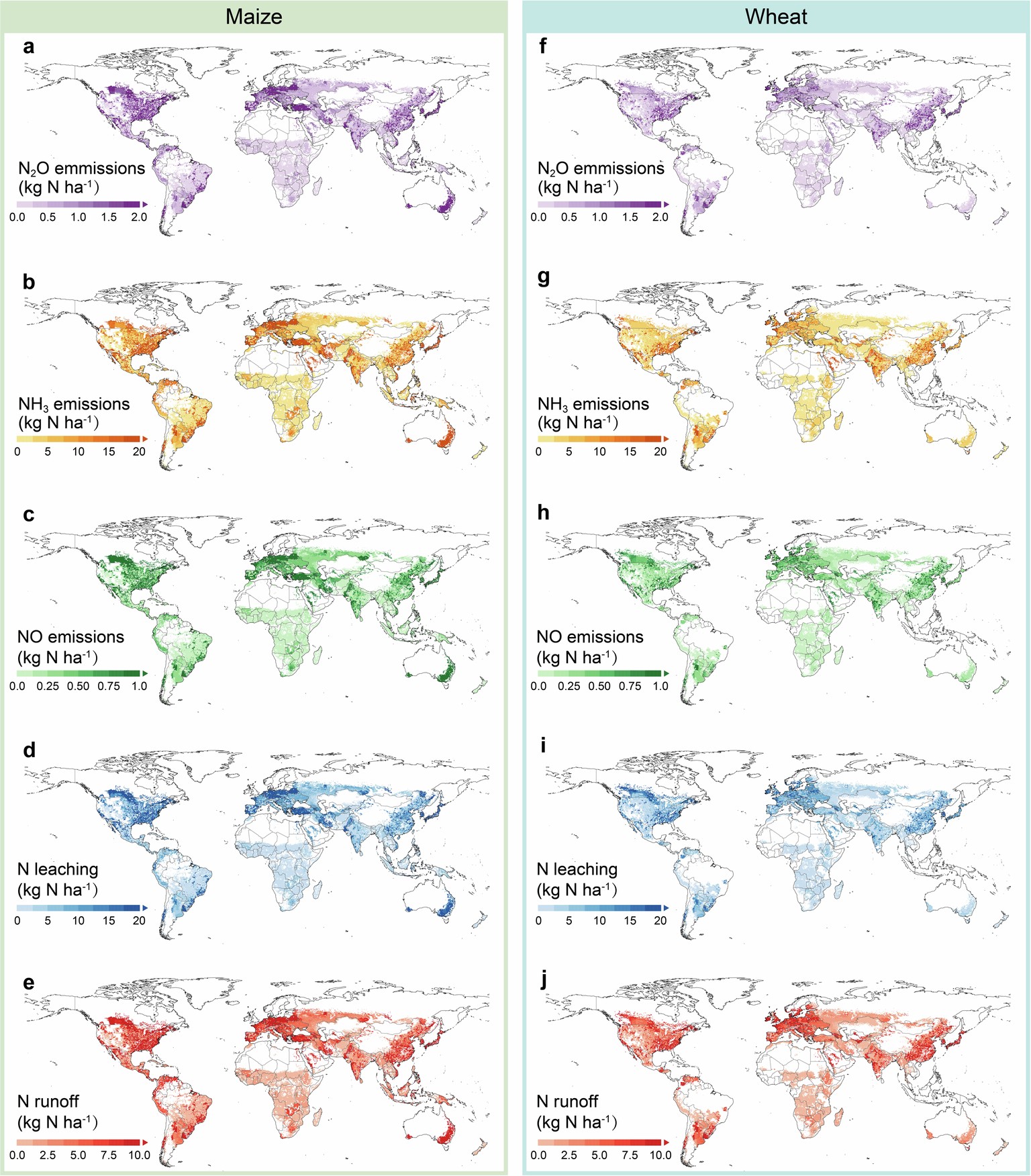 Extended Data Fig. 1: Spatial patterns of synthetic N fertilizer-induced soil Nr losses for global maize and wheat fields in 2020.