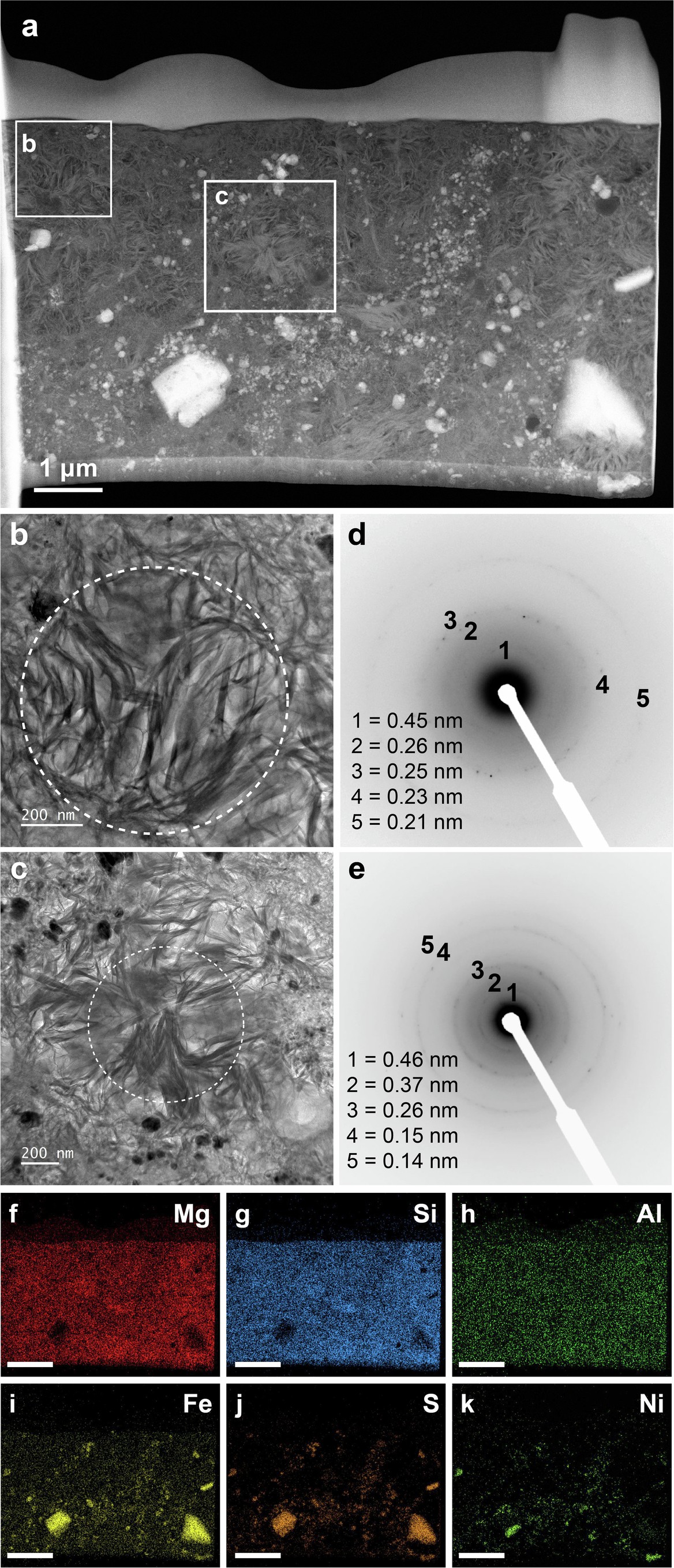 Extended Data Fig. 4