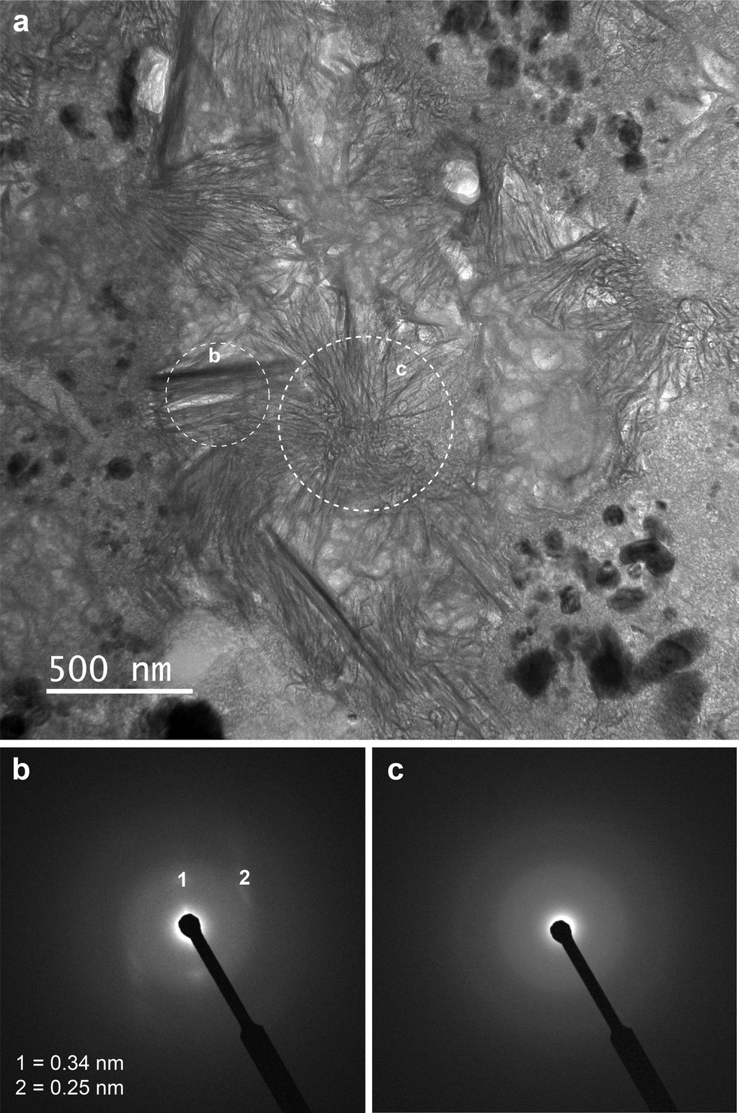 Extended Data Fig. 5