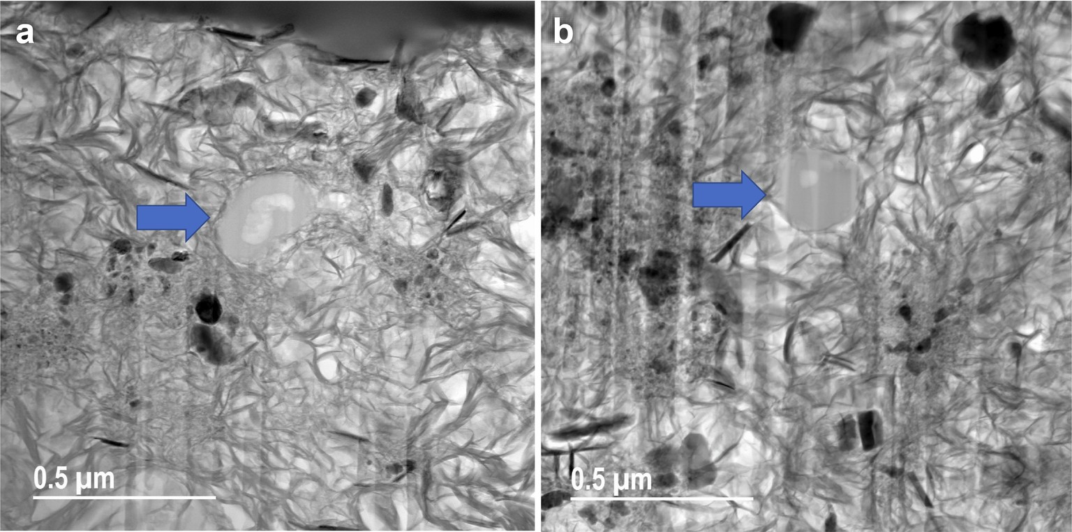 Extended Data Fig. 9