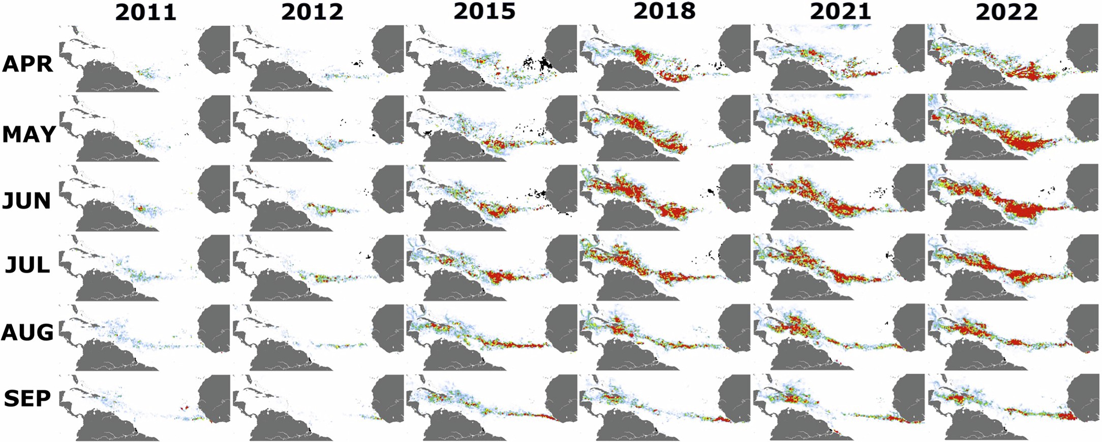 Extended Data Fig. 8: Monthly Sargassum spp. extents for the years 2011, 2012, 2015, 2018, 2021, and 2022.