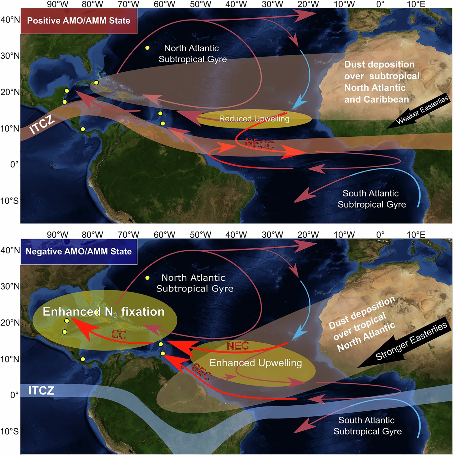Extended Data Fig. 5: Schematic of ocean-atmosphere dynamics during positive and negative AMO/AMM states.