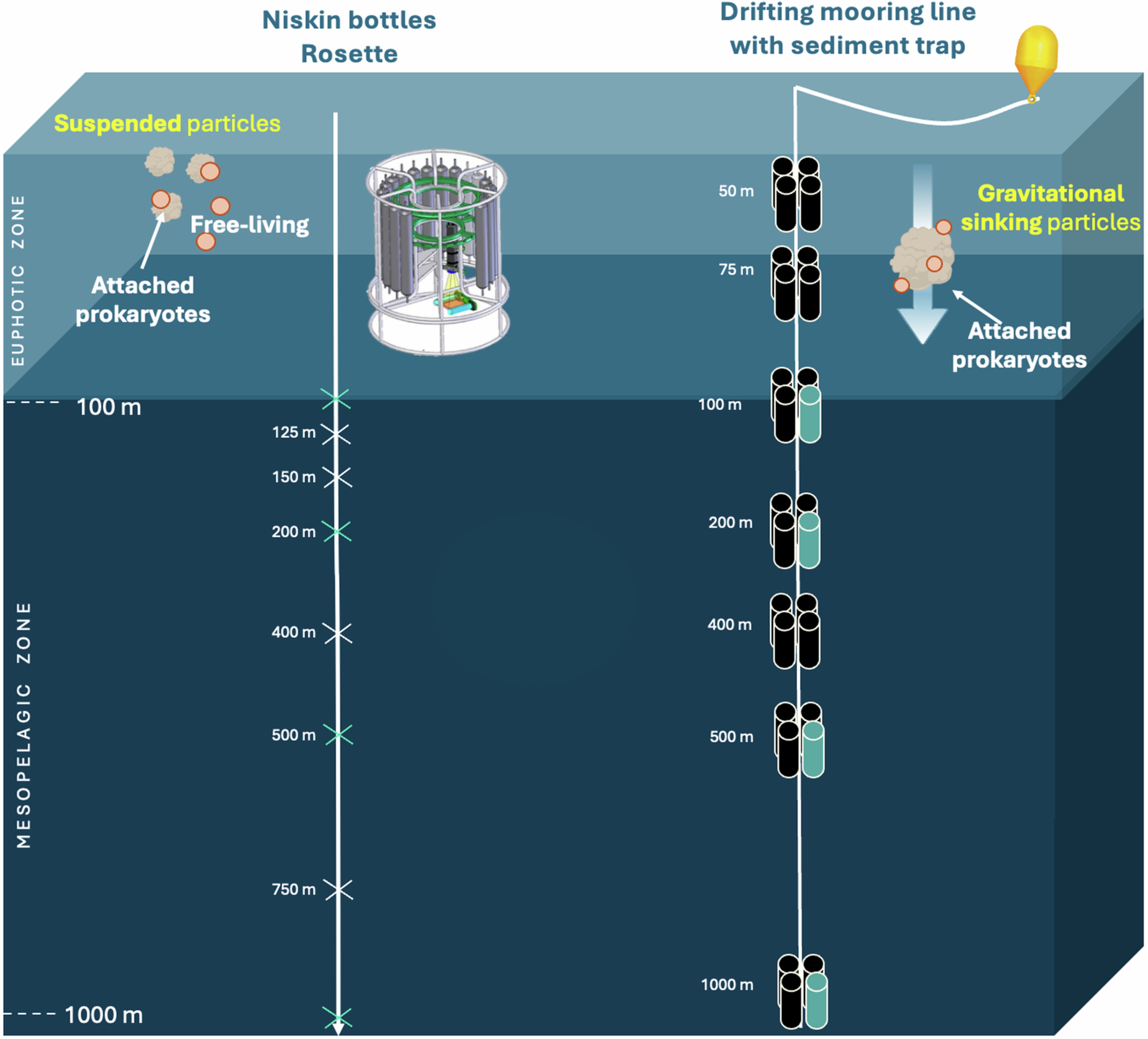 Extended Data Fig. 3