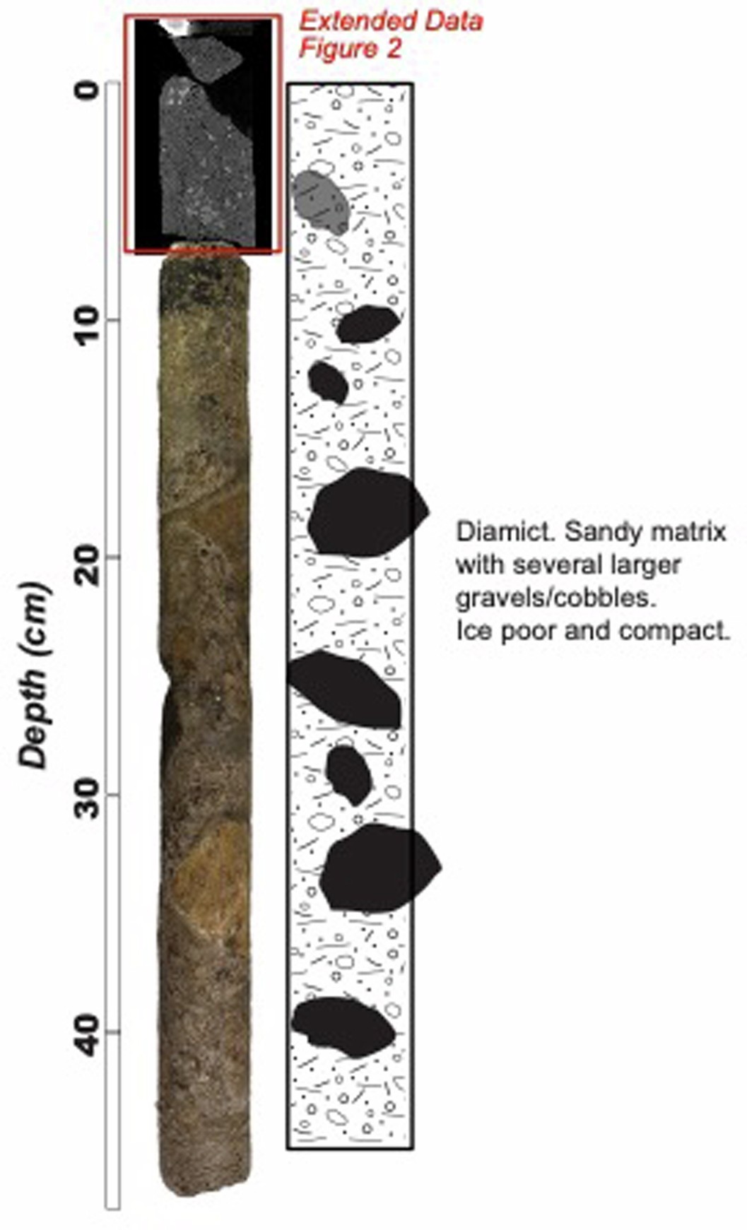 Extended Data Fig. 1: ASIG Core log and core images/CT scans.