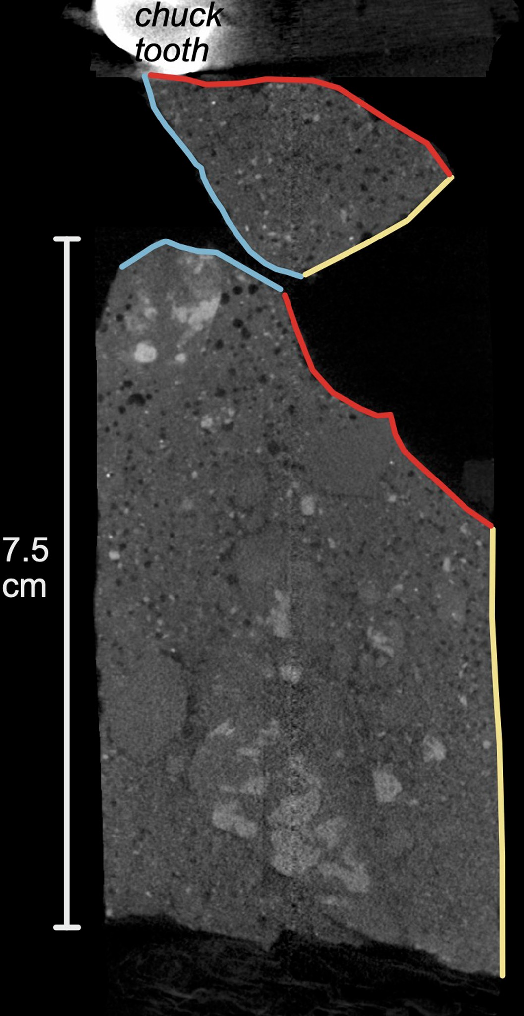 Extended Data Fig. 2: CT scan image of the uppermost 7.5 cm of sediment from the ASIG core.