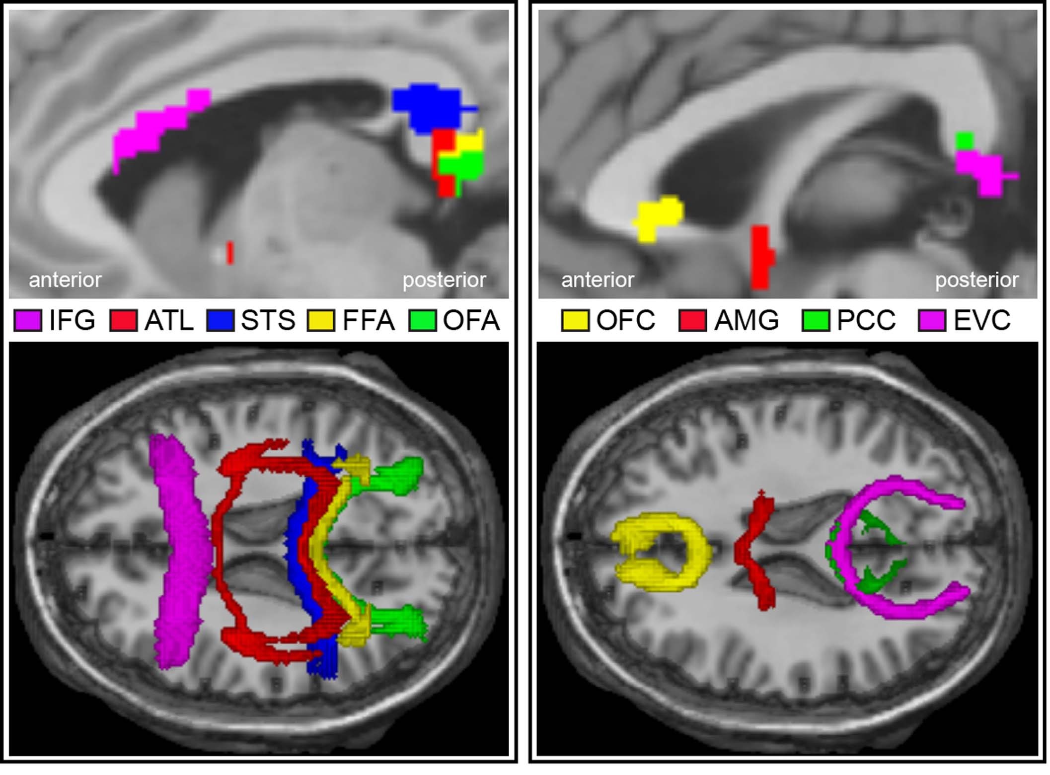 Extended Data Fig. 1