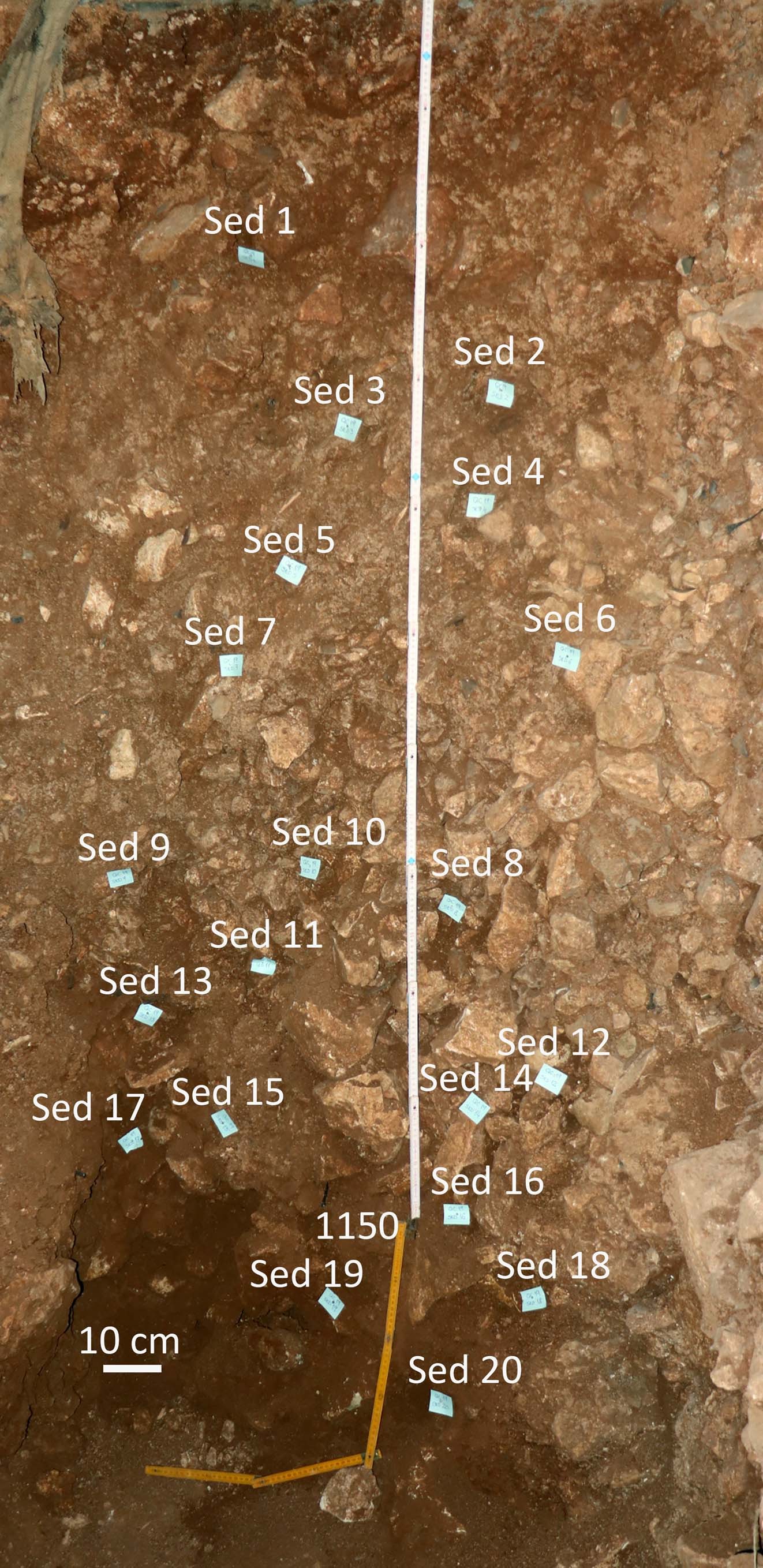 Extended Data Fig. 6