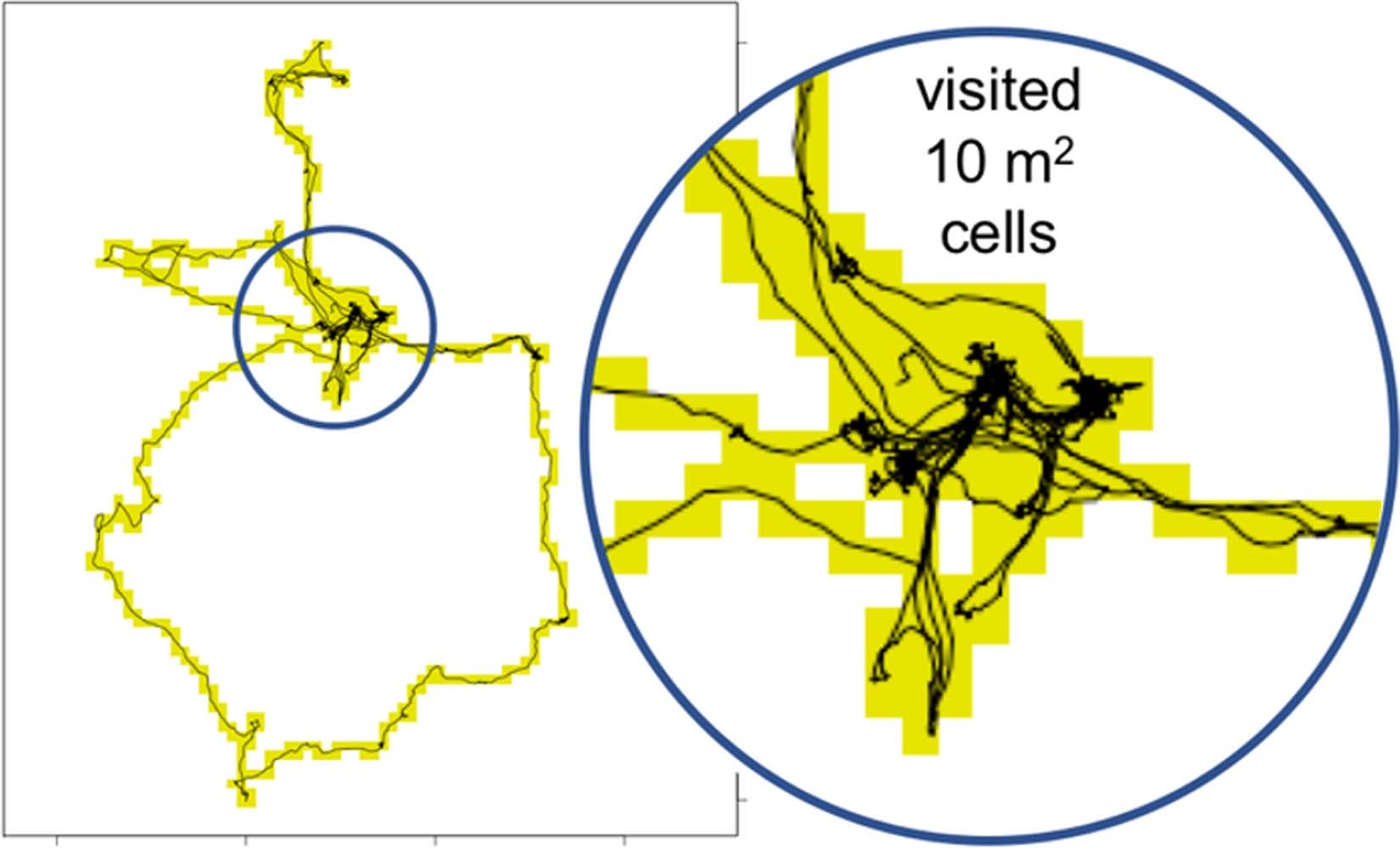 Extended Data Fig. 3