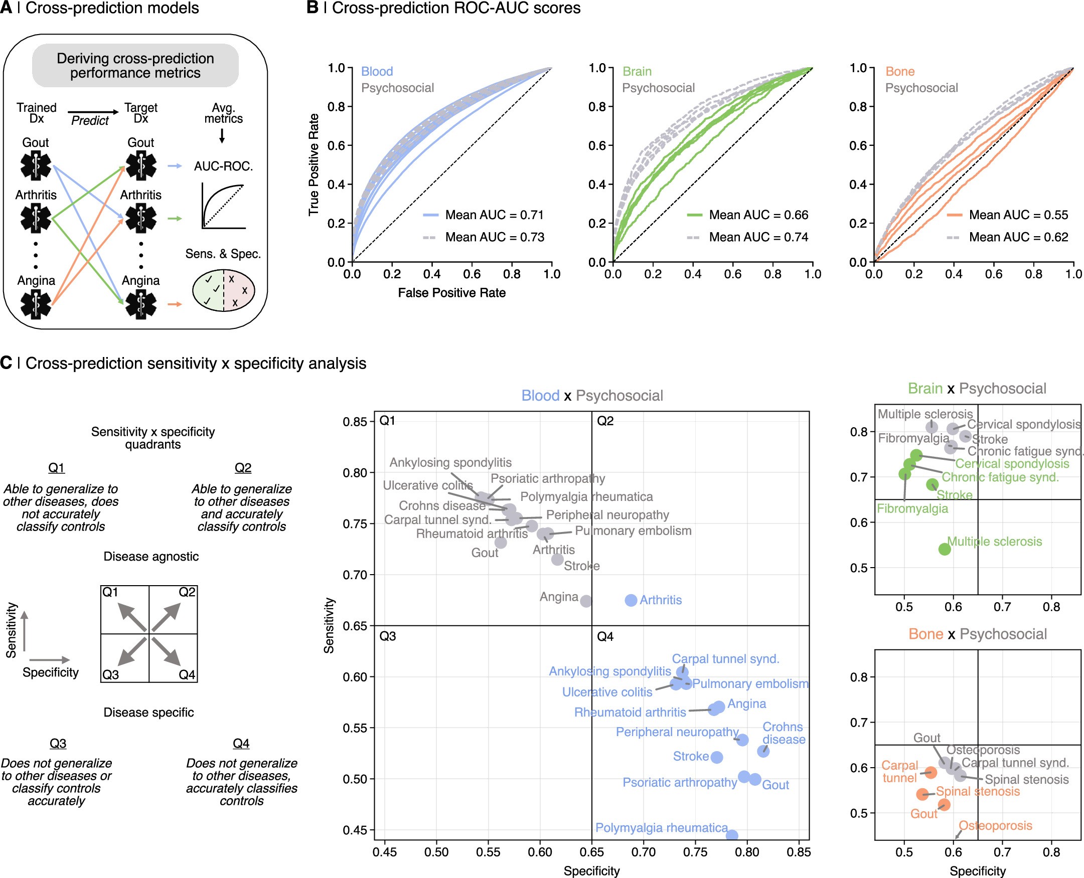 Extended Data Fig. 5: Biological and psychosocial cross-prediction models for pain diagnoses.