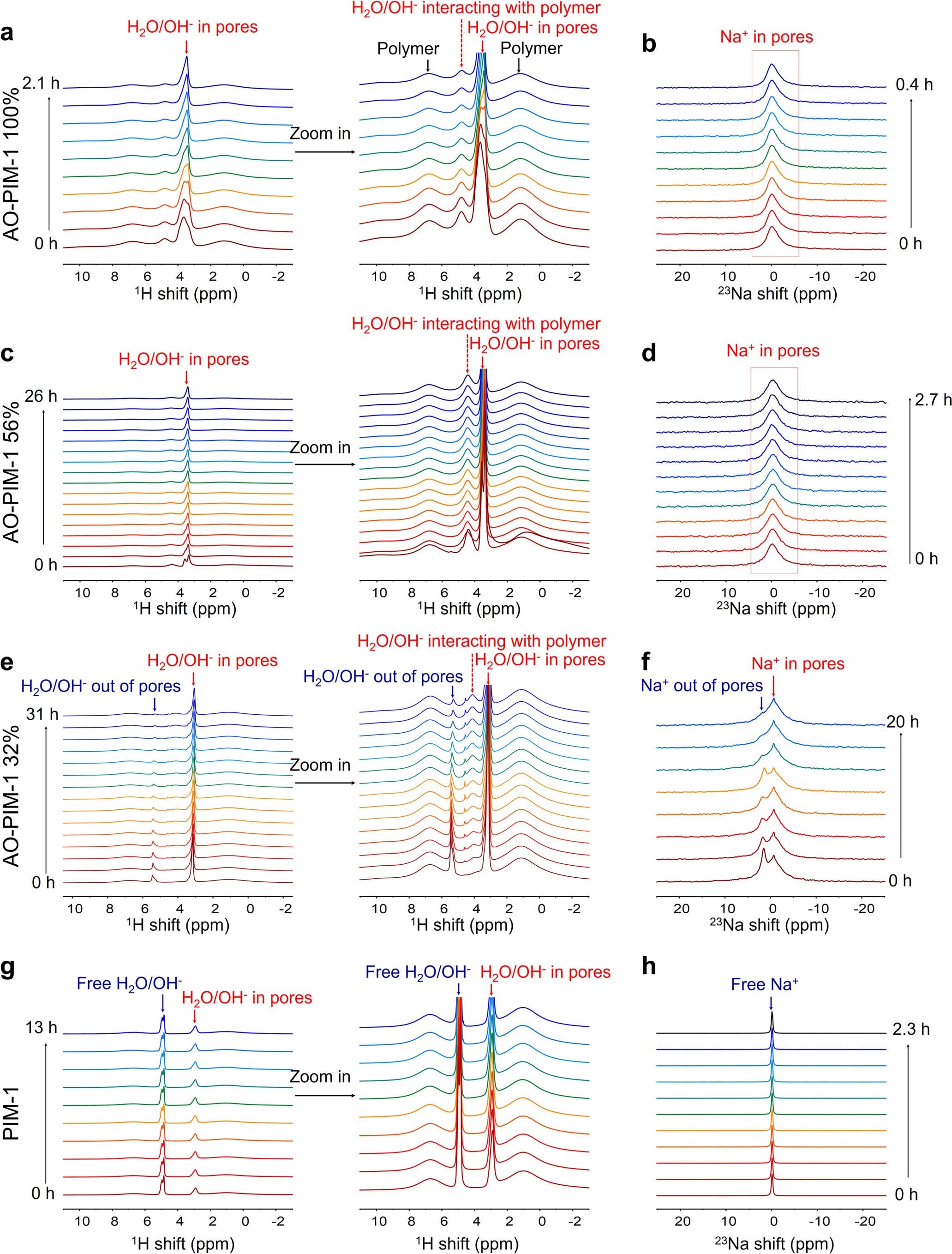 Extended Data Fig. 6: 1H and 23Na ssNMR spectra.