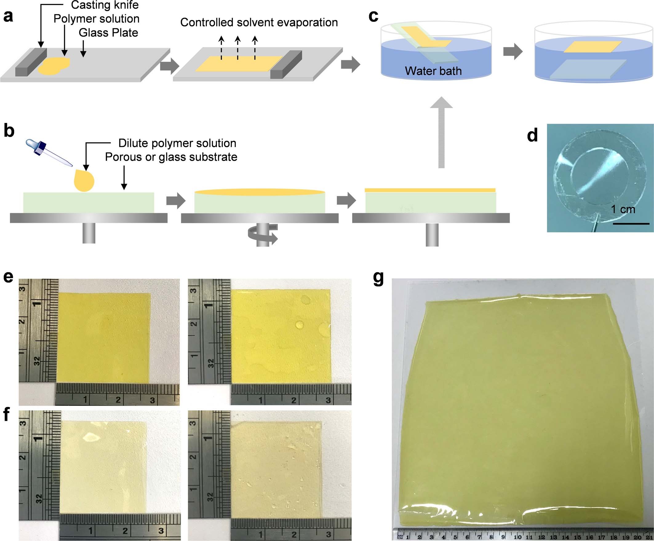Extended Data Fig. 3: Fabrication and photograph of PIM membranes.