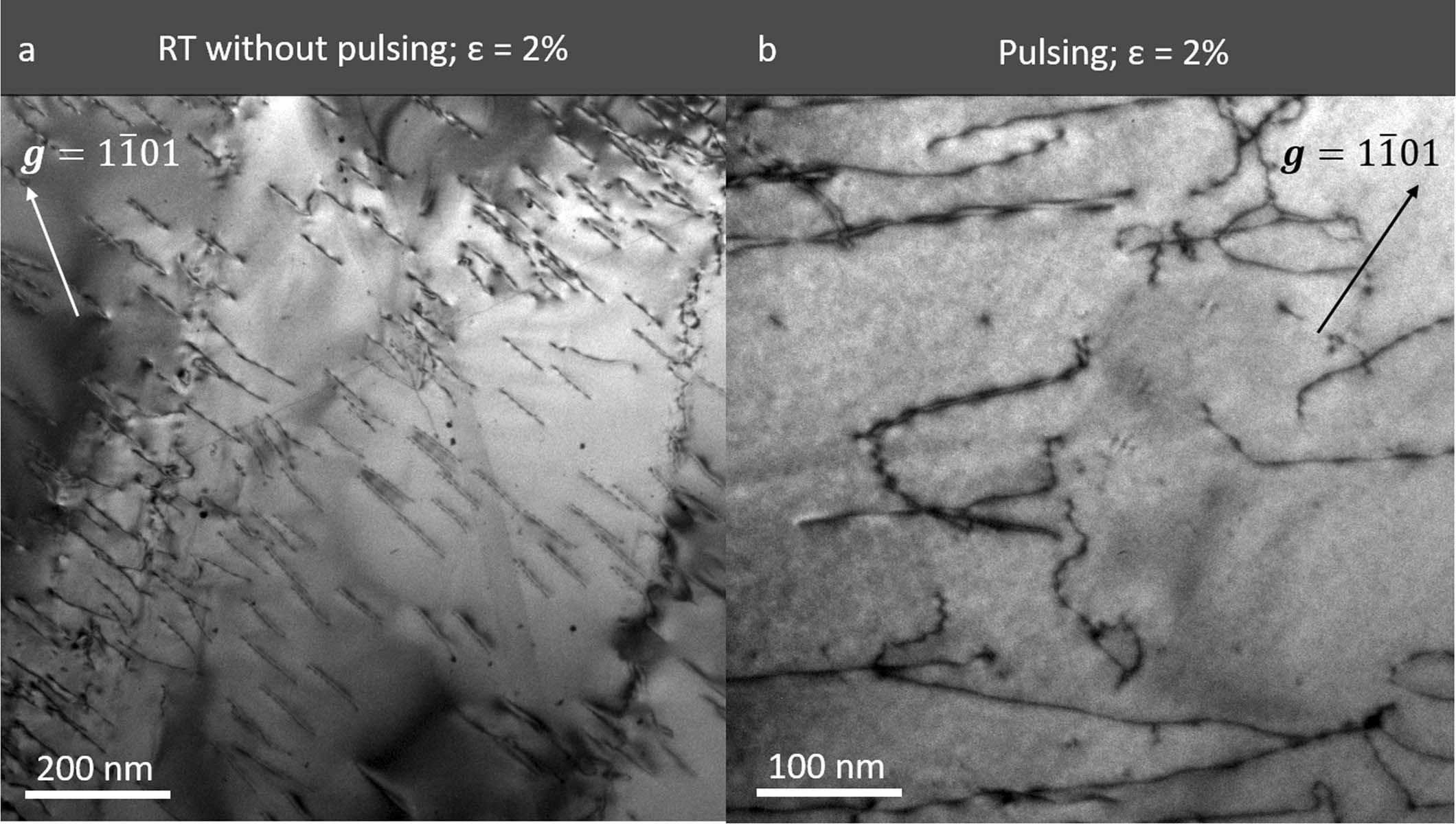 Extended Data Fig. 1