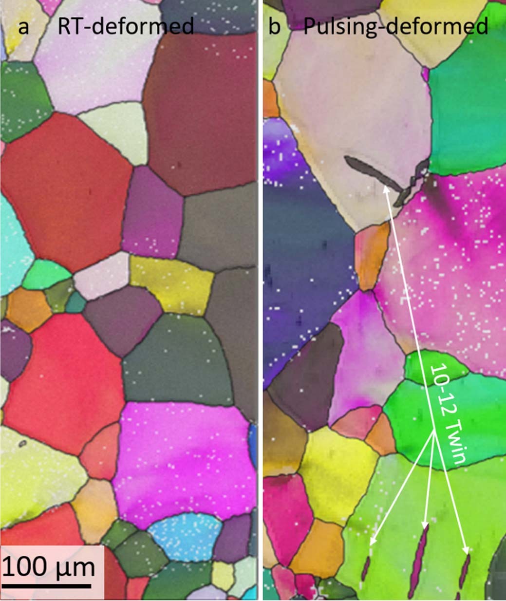 Extended Data Figure 5