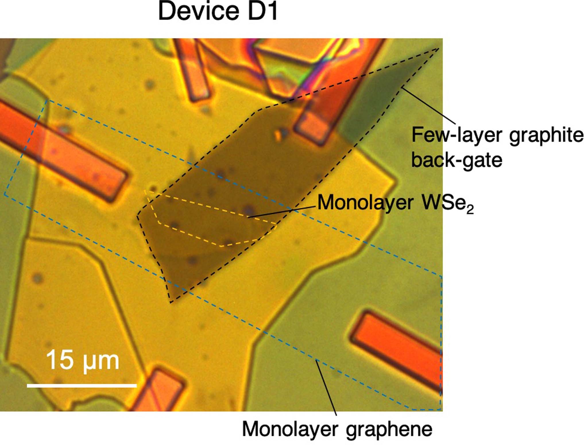 Extended Data Fig. 1: Optical image of device D1.