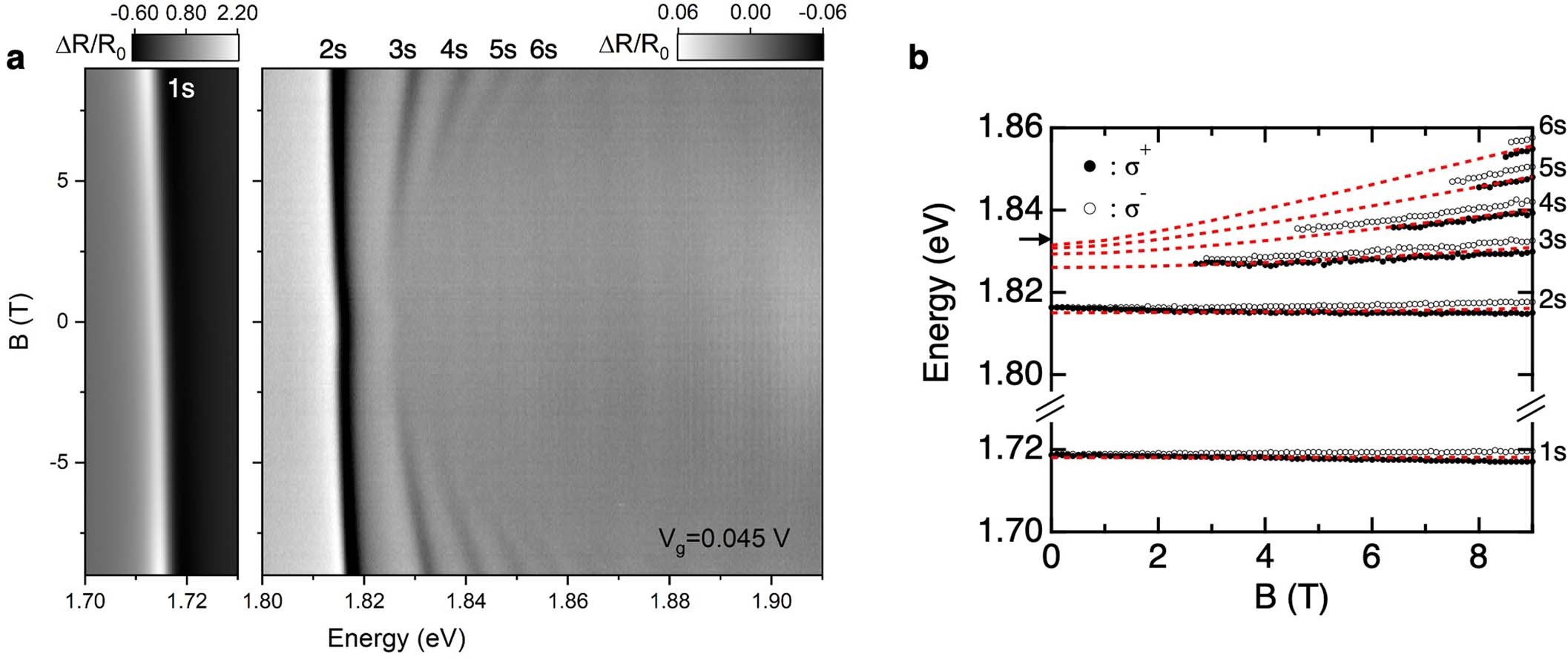 Extended Data Fig. 4: Magneto-optical spectroscopy of device D1 at Vg ≈ 0 V.