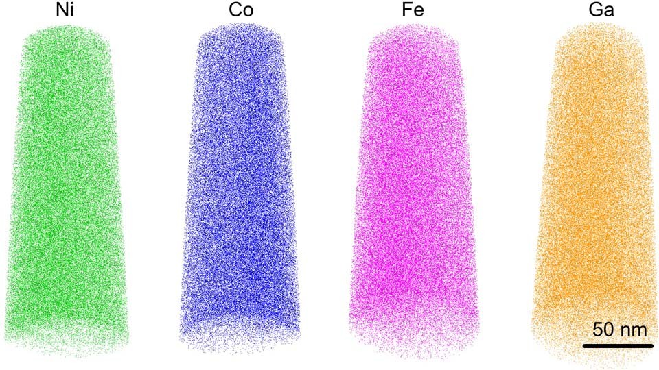 Extended Data Fig. 1