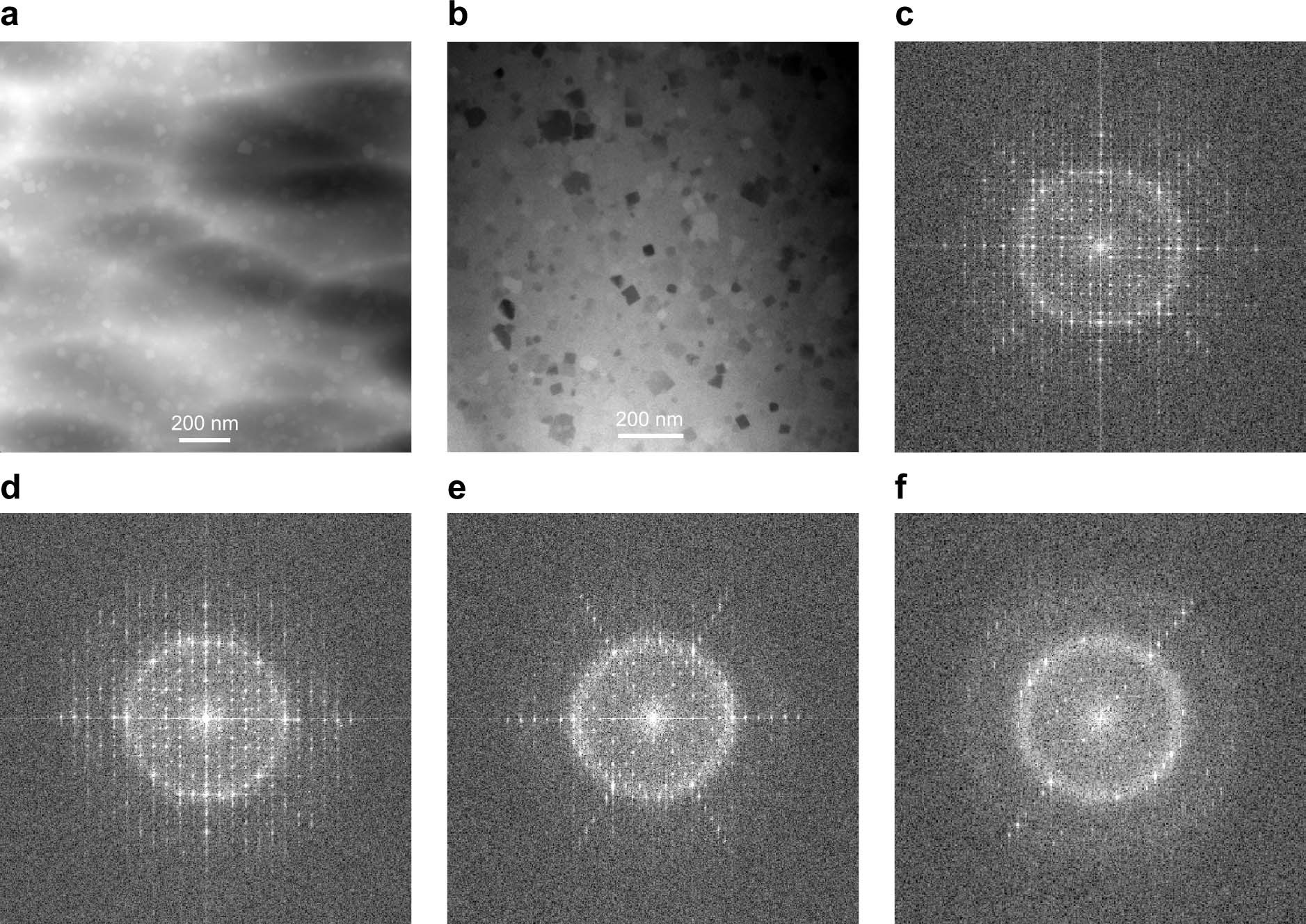 Extended Data Fig. 2