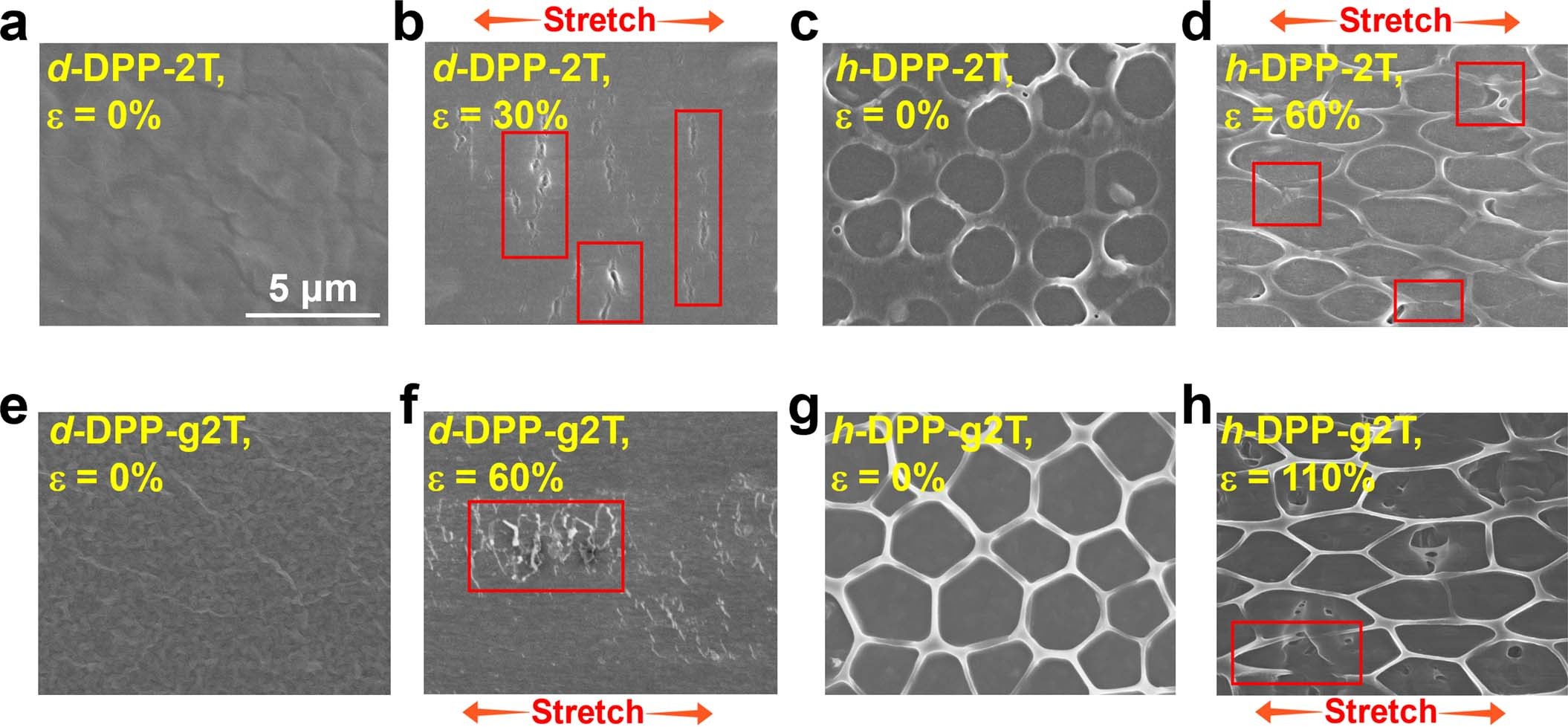 Extended Data Fig. 5