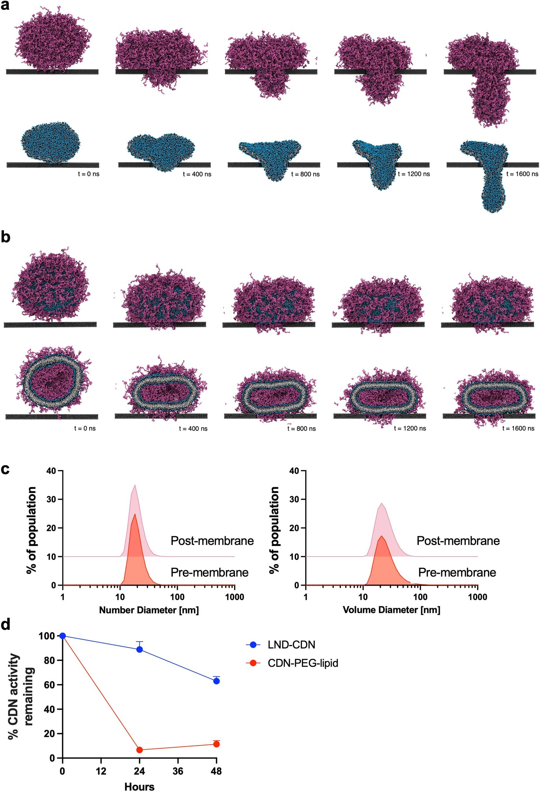 Extended Data Fig. 4: Stability and pore crossing by LND-CDN vs. liposomes.
