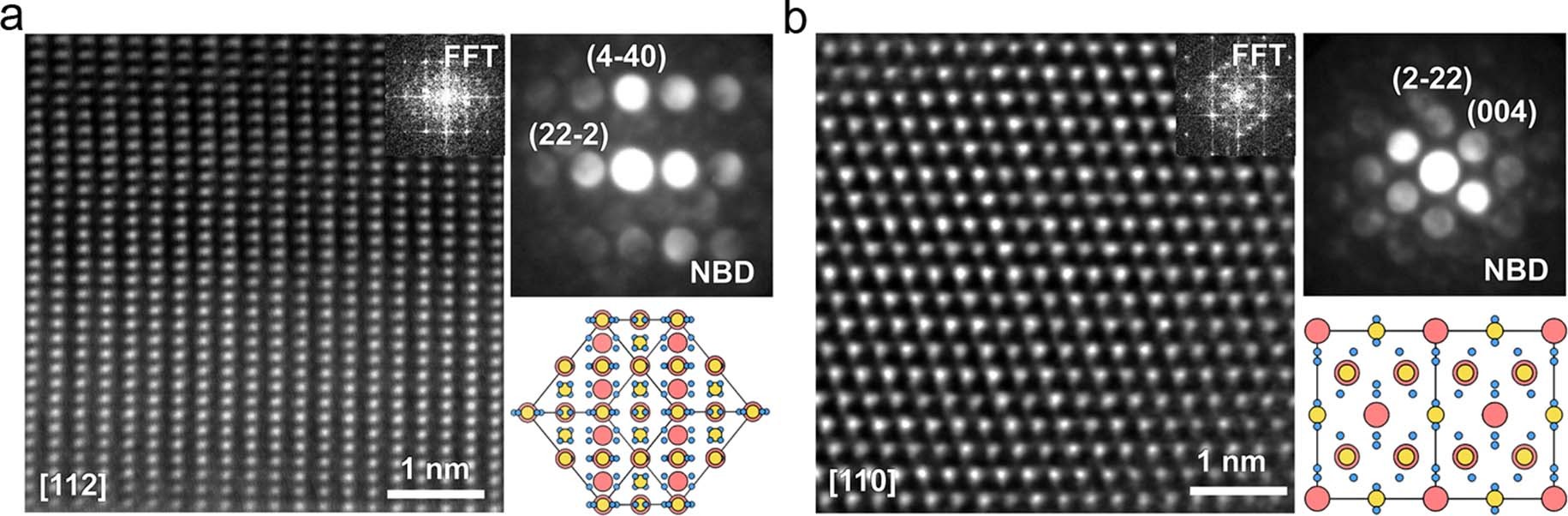 Extended Data Fig. 1
