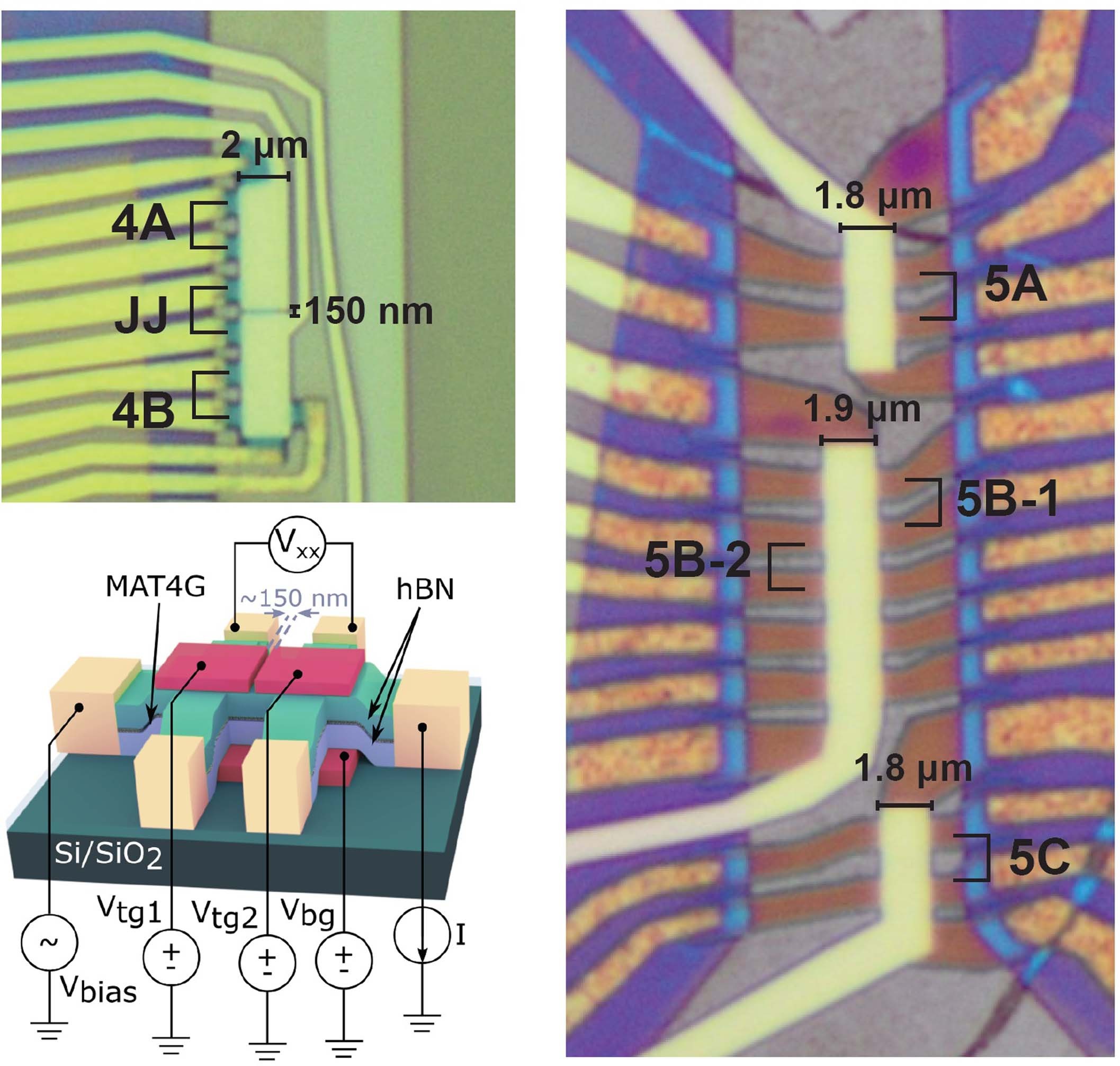 Extended Data Fig. 7