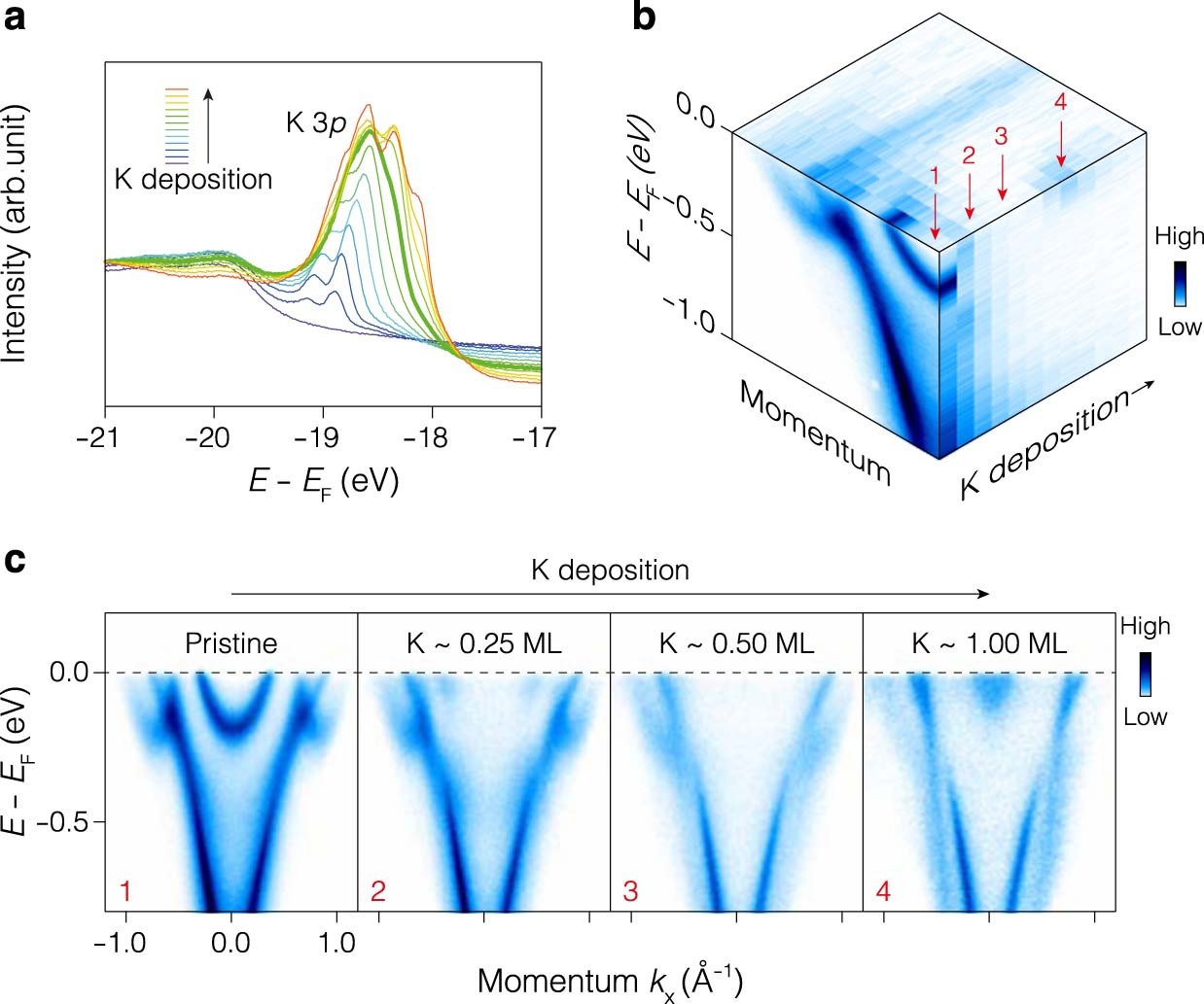 Extended Data Fig. 4: Determination of K coverage.