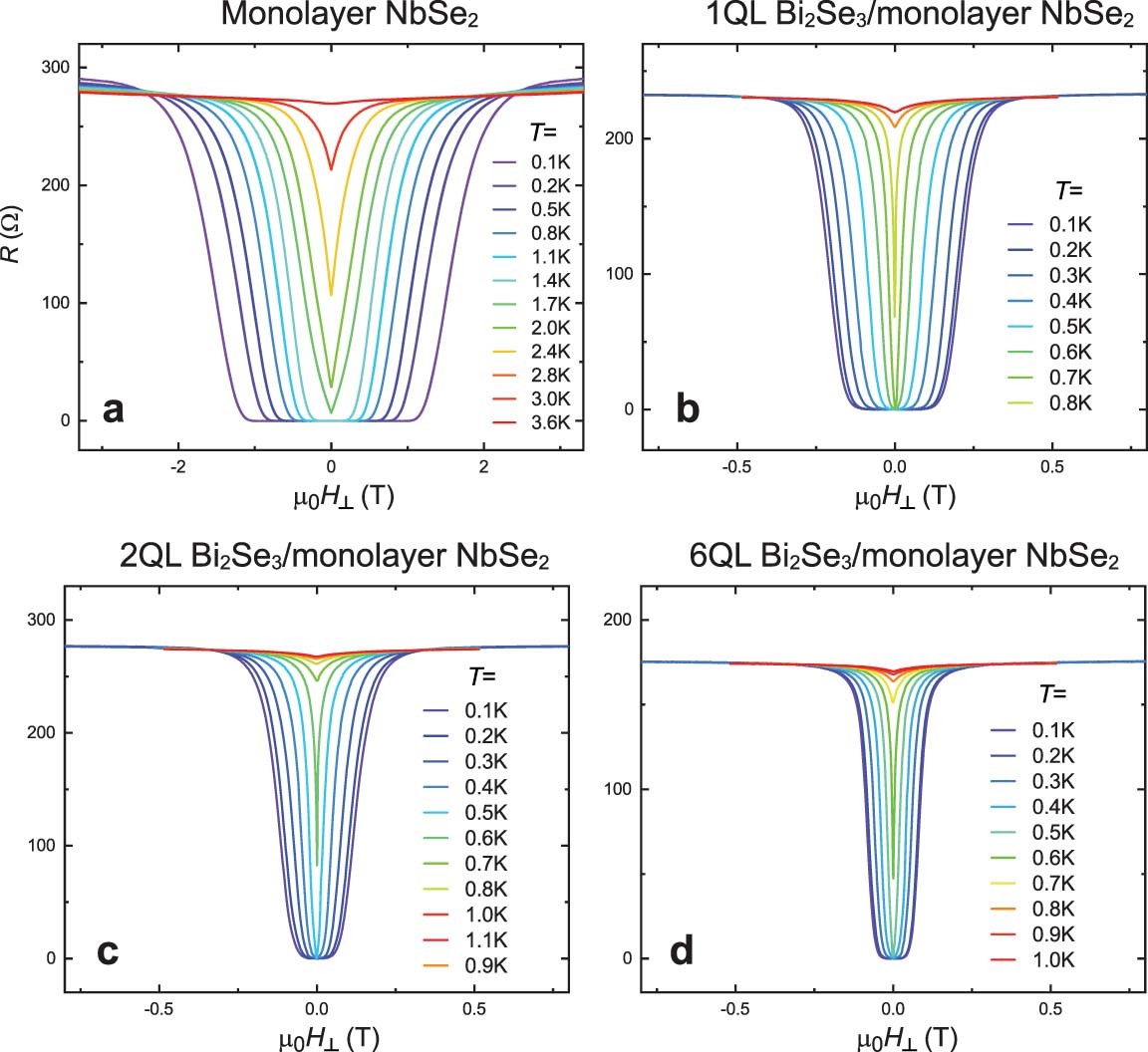 Extended Data Fig. 7: R-μ0H curves of monolayer NbSe2 and mQL Bi2Se3/NbSe2 heterostructures under out-of-plane magnetic fields at different temperatures.