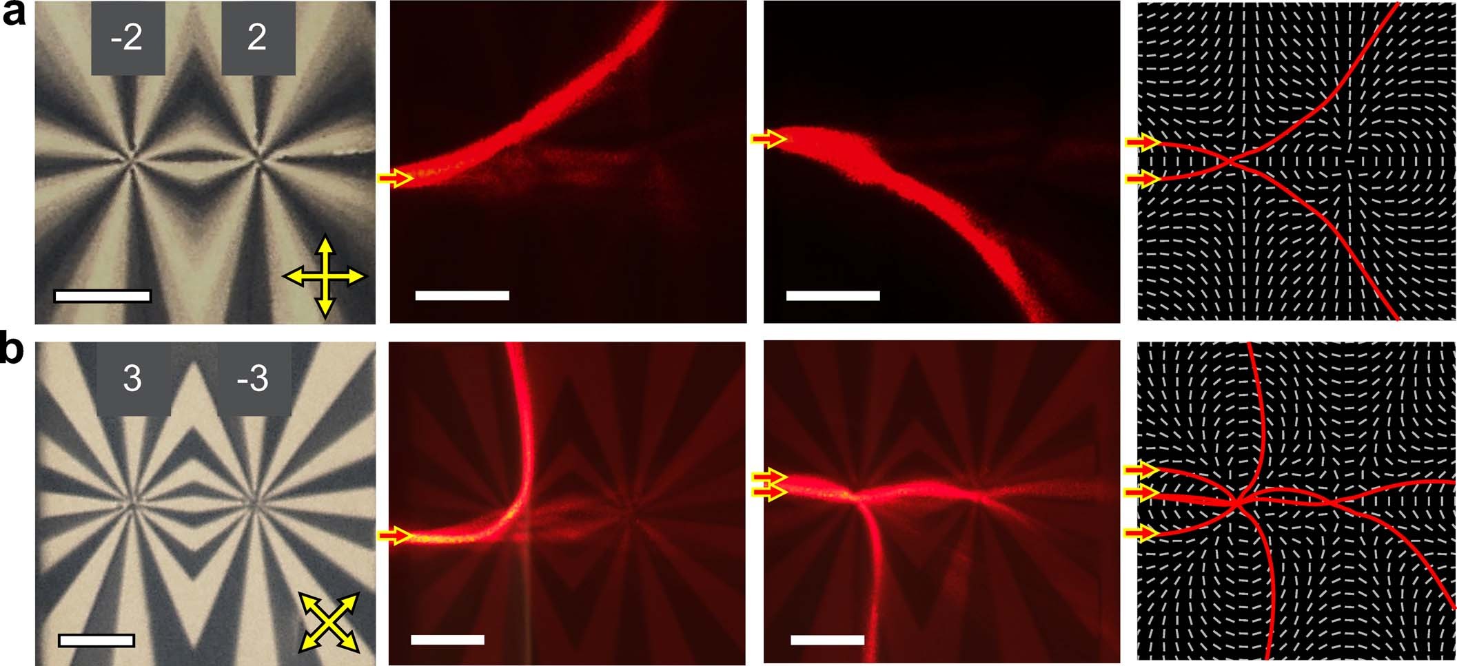 Extended Data Fig. 5