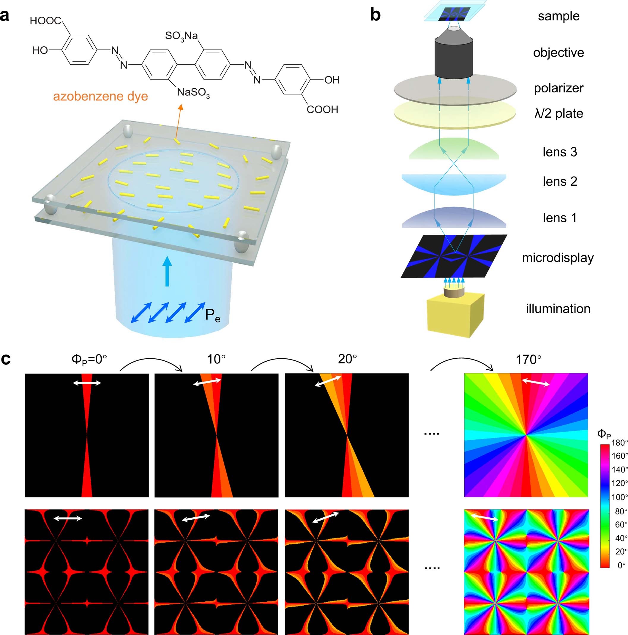 Extended Data Fig. 1: Principles of photo-patterning of LC vortices.
