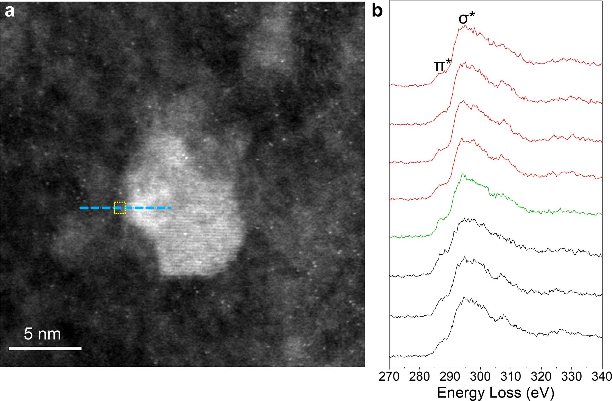 Extended Data Fig. 6: EELS line scan across the interface between ND and DMG.